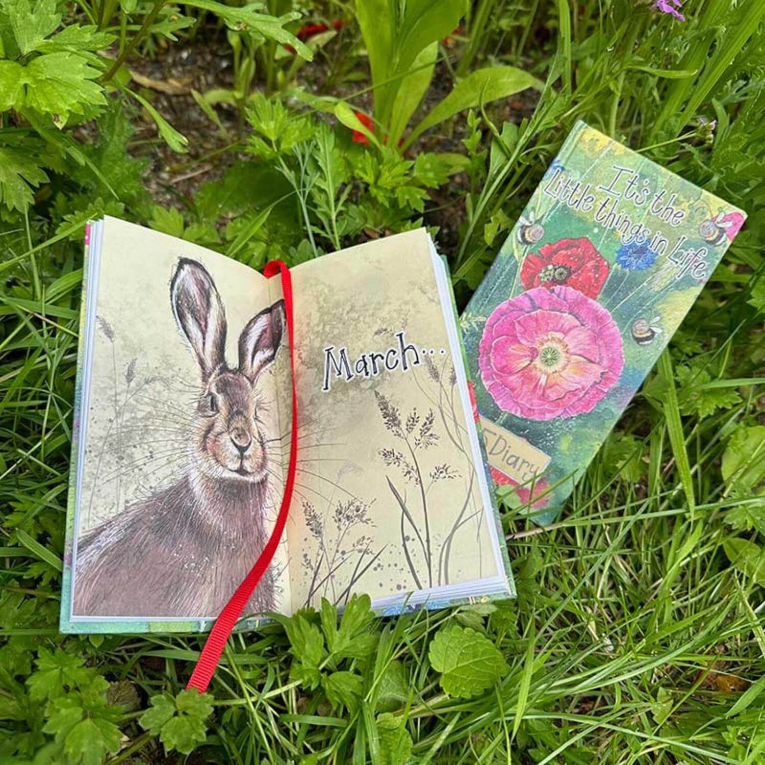 Alex Clark 2025 Pocket Diary - Charismatic Cats - Image 3