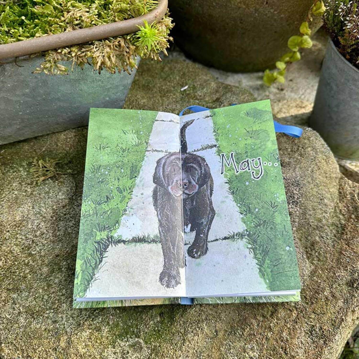 Alex Clark 2025 Pocket Diary - Delightful Dogs - Image 3