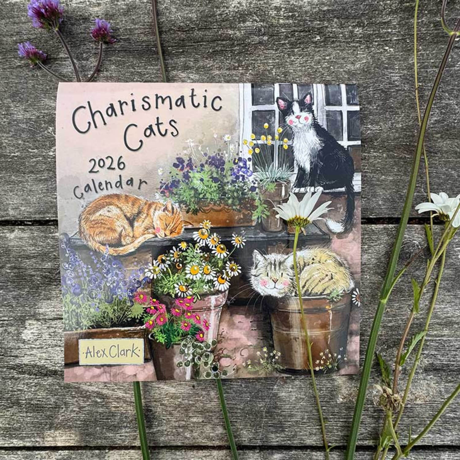 Alex Clark 2026 Calendar - Charismatic Cats - Image 4