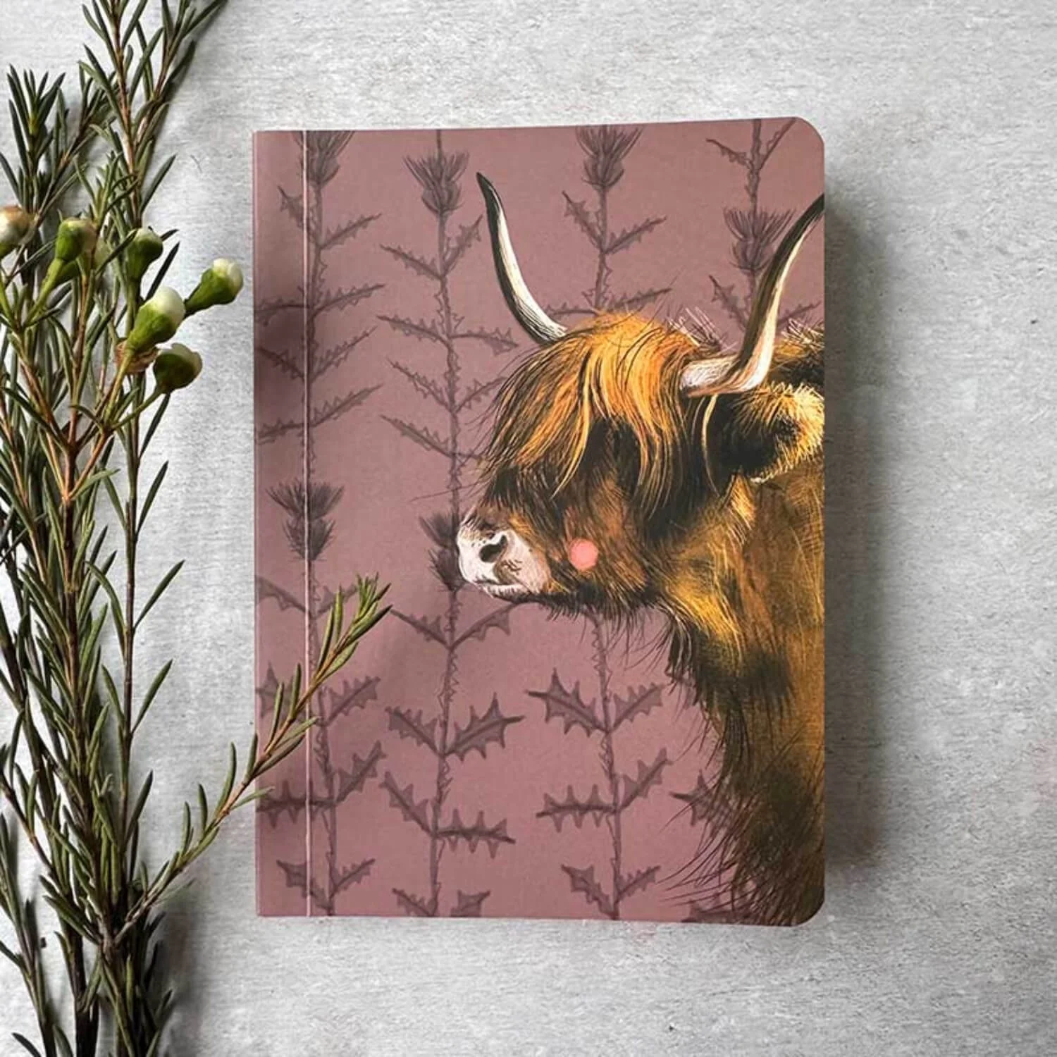 Alex Clark Small Blank Notebook - Highland Cow