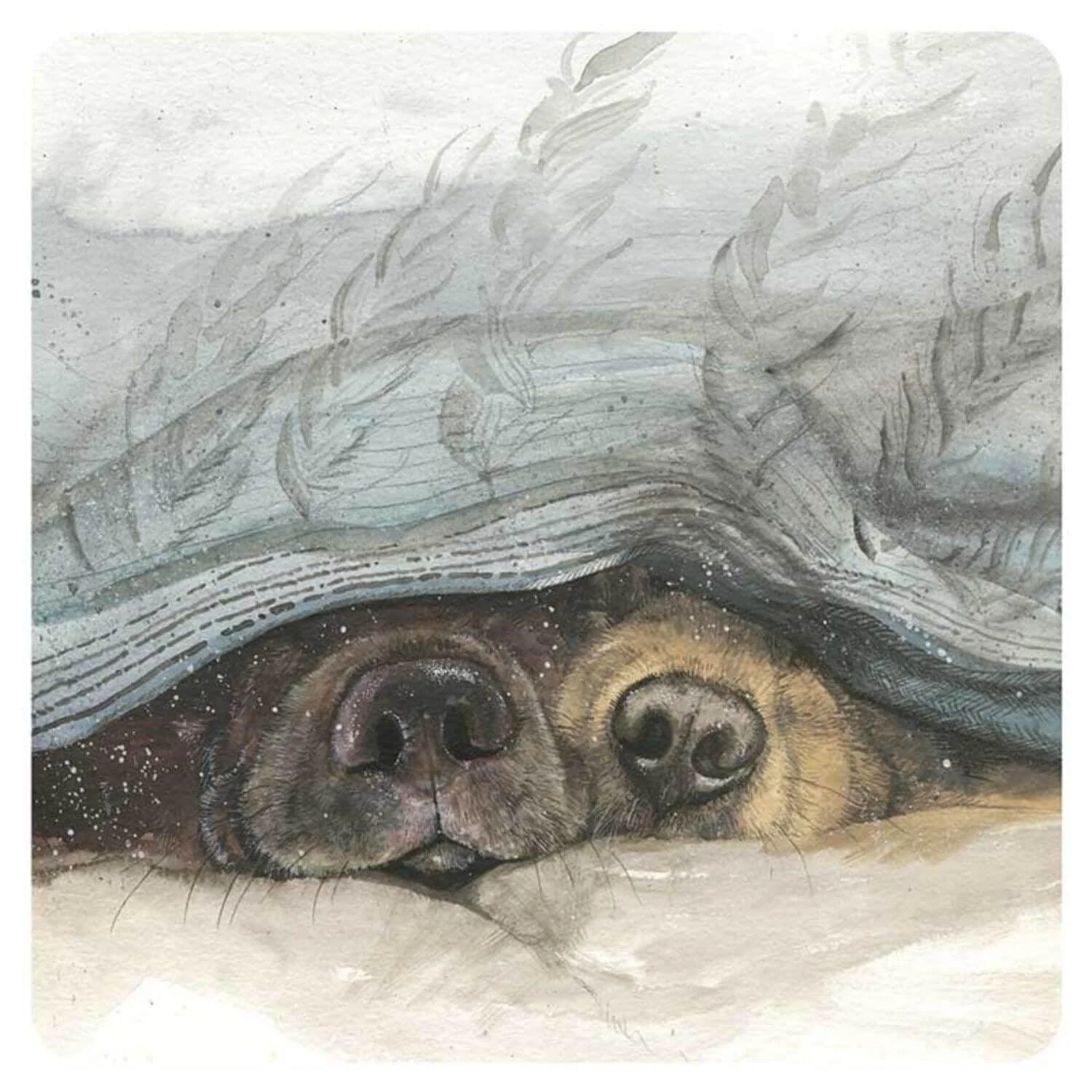 Alex Clark Coaster - Snouts