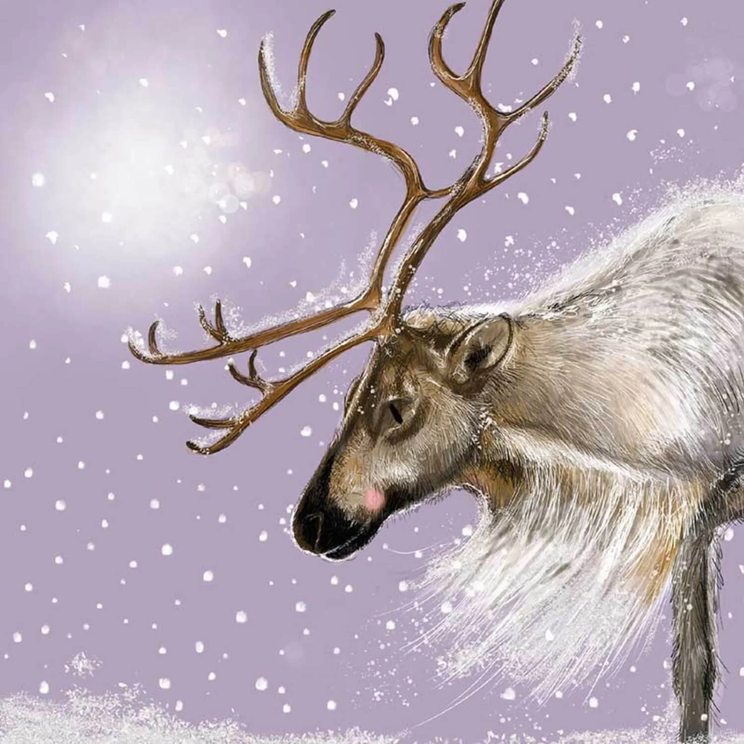 Alex Clark Pack Of 8 Christmas Cards - Reindeer - Image 2