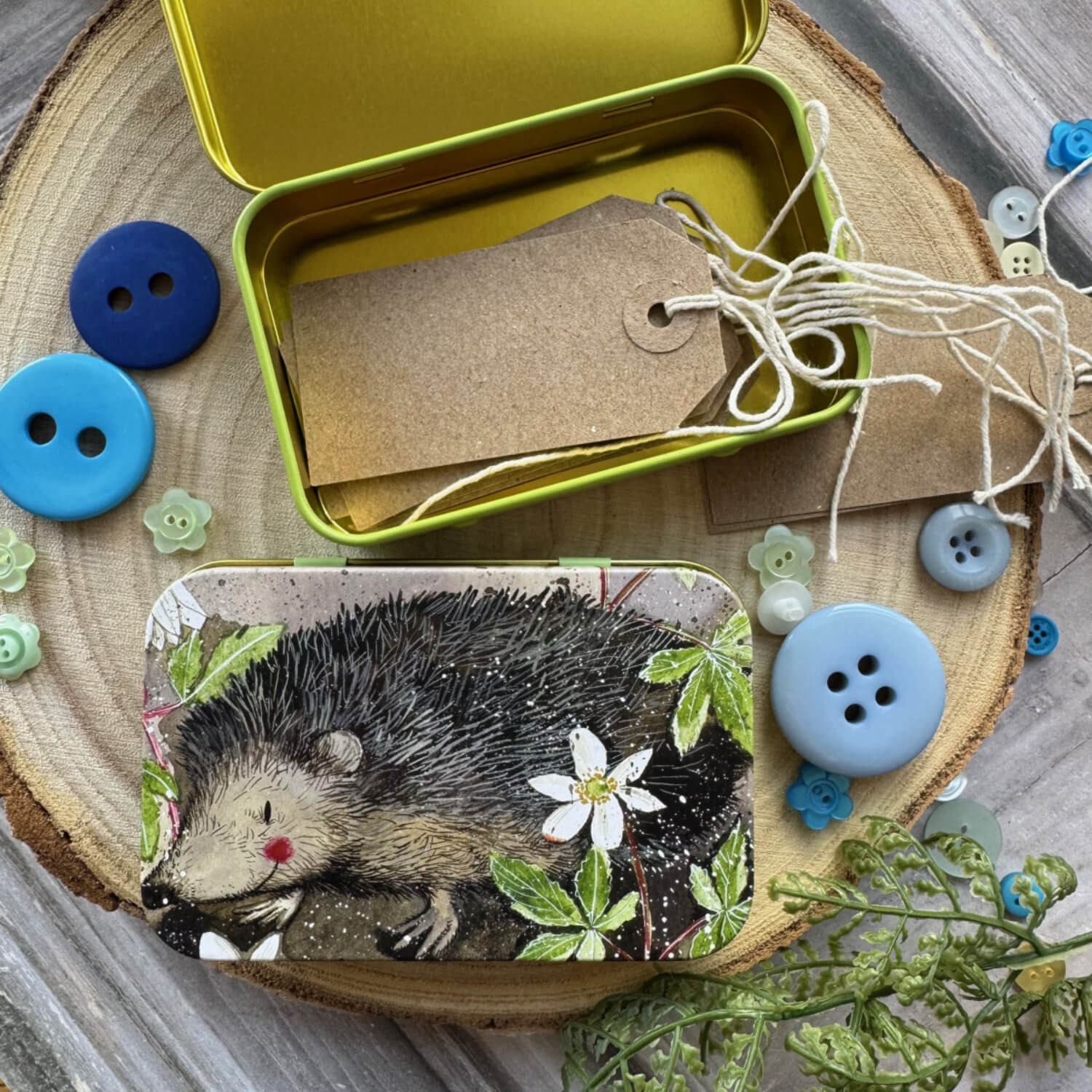 Alex Clark Small Rectangular Tin - Mr Prickly - Image 2