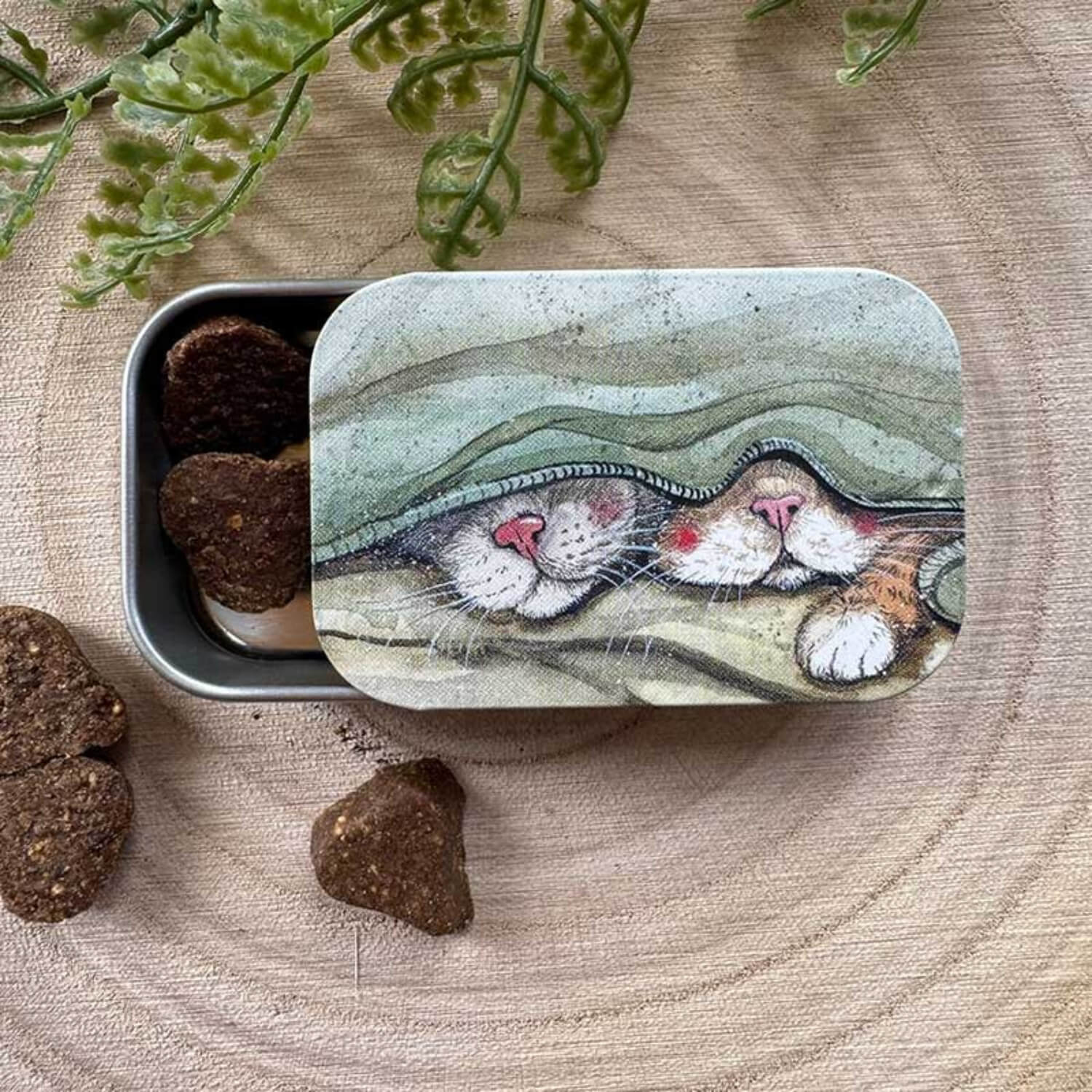 Alex Clark Small Sliding Tin - Cats Whiskers - Image 2