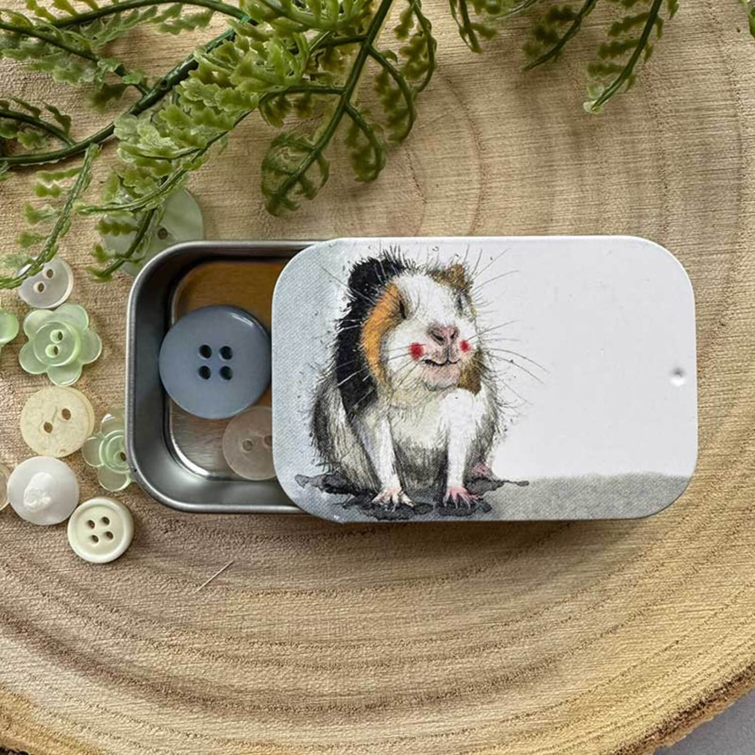 Alex Clark Small Sliding Tin - Guinea Pig - Image 2