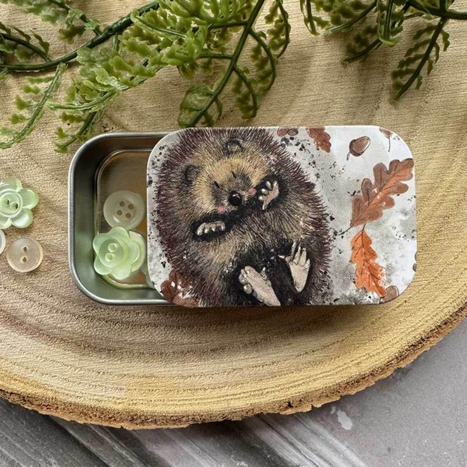 Alex Clark Small Sliding Tin - Hedgehog - Image 2