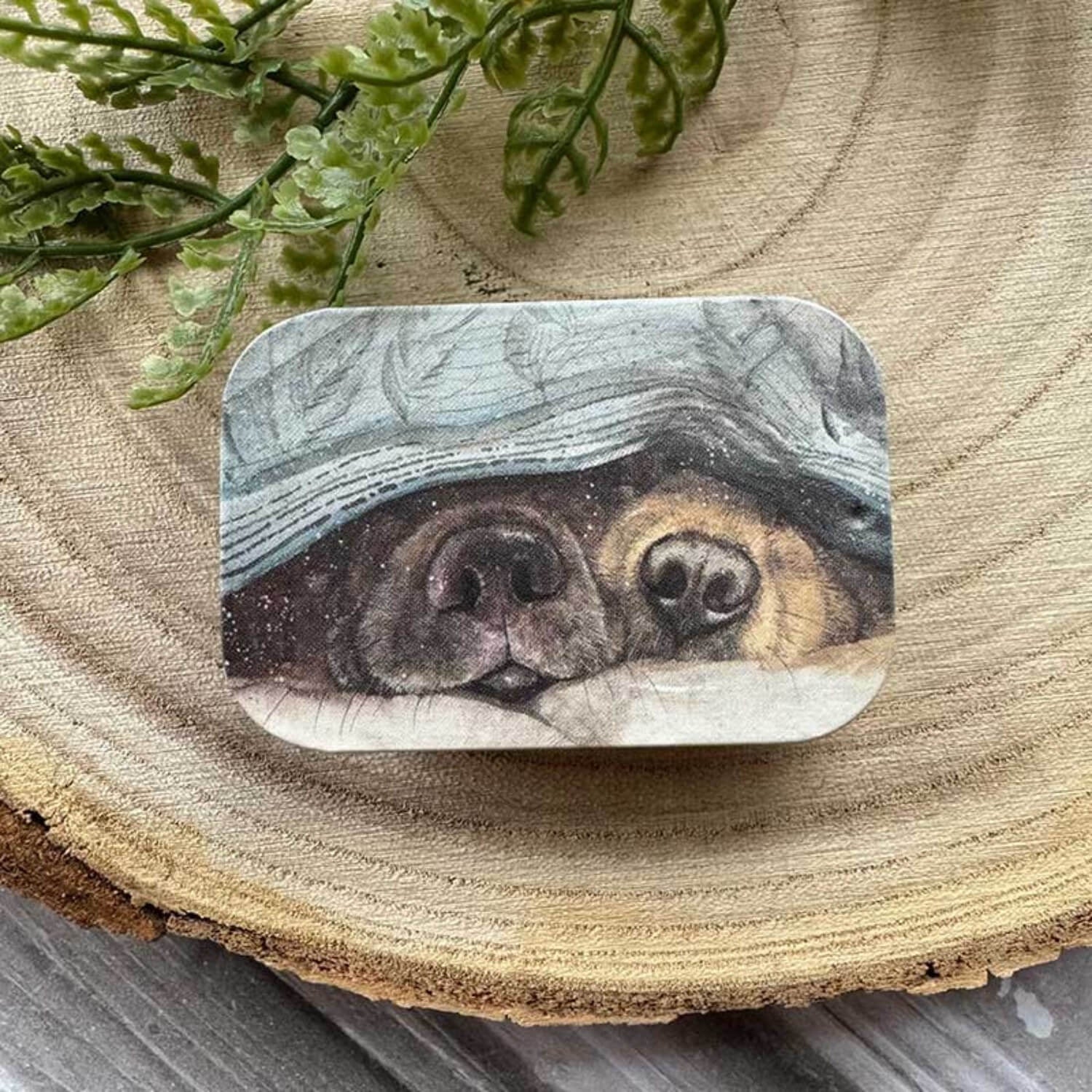 Alex Clark Small Sliding Tin - Snouts