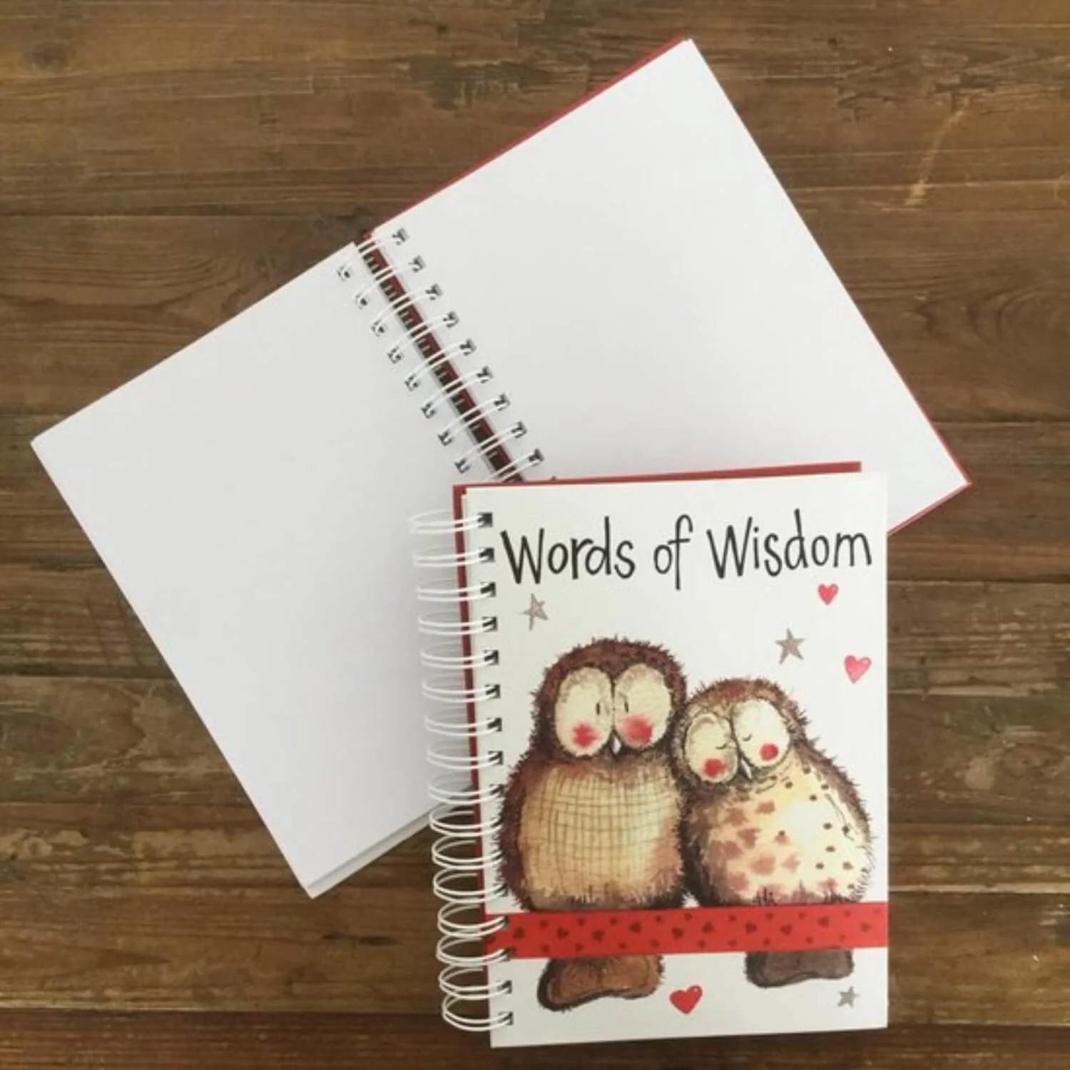 Alex Clark Spiral Journal - Owls