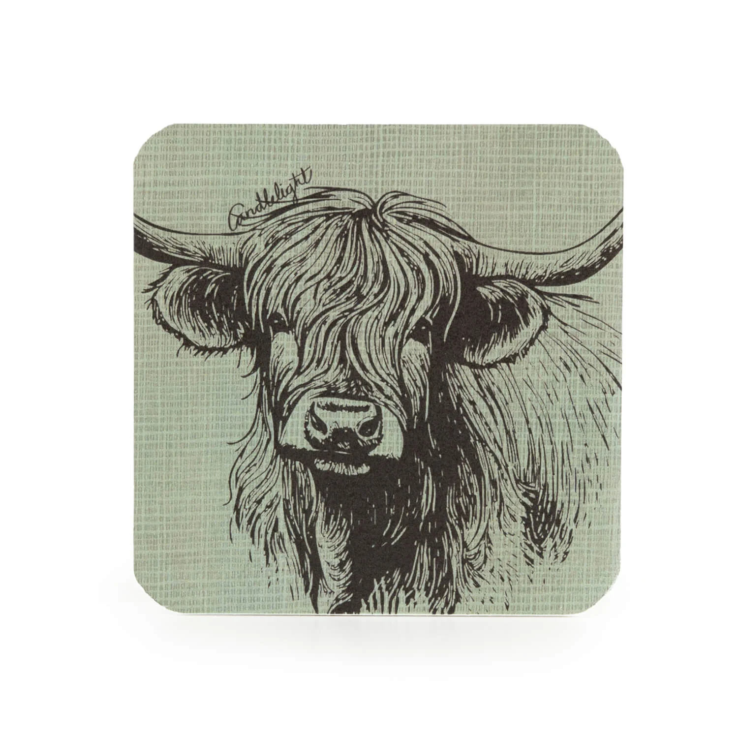 Candlelight Set Of 4 Coasters - Highland Cow - Image 2