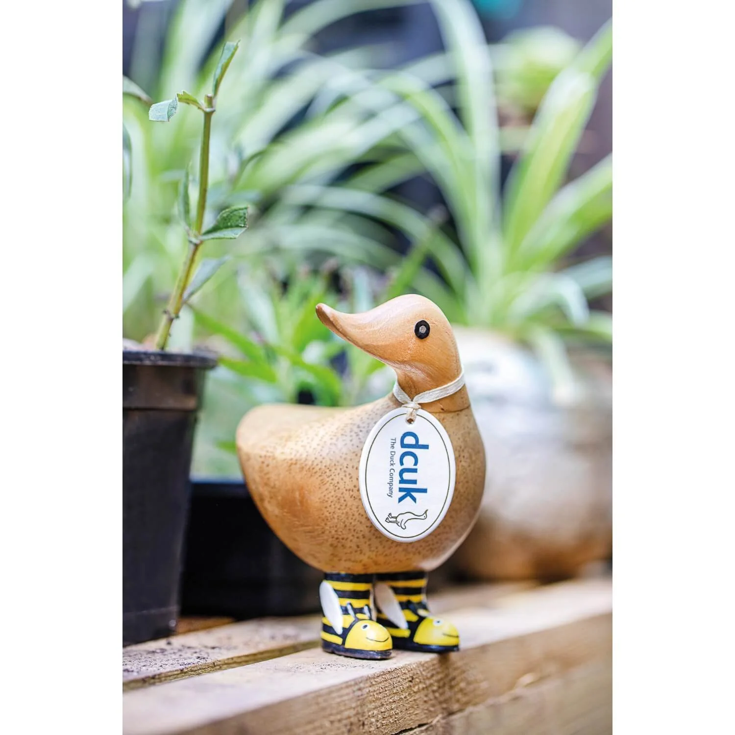 DCUK Duckys in Wild Wellies - Assorted - Image 8