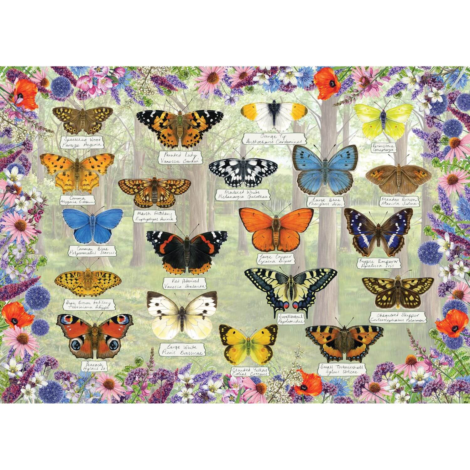 Gibsons 1000 Piece Jigsaw Puzzle - Beautiful Butterflies