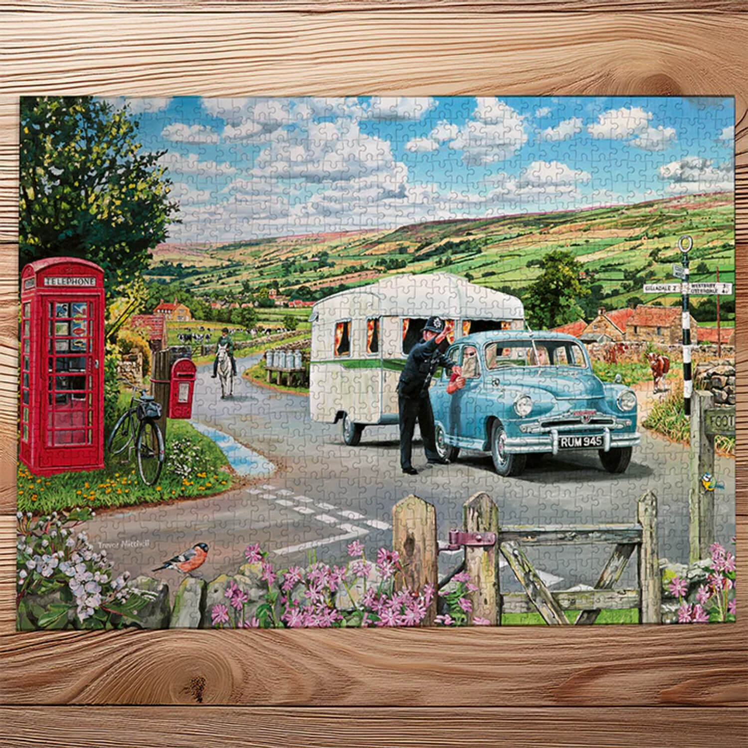Gibsons 1000 Piece Jigsaw Puzzle - Which Way To The Campsite? - Image 2