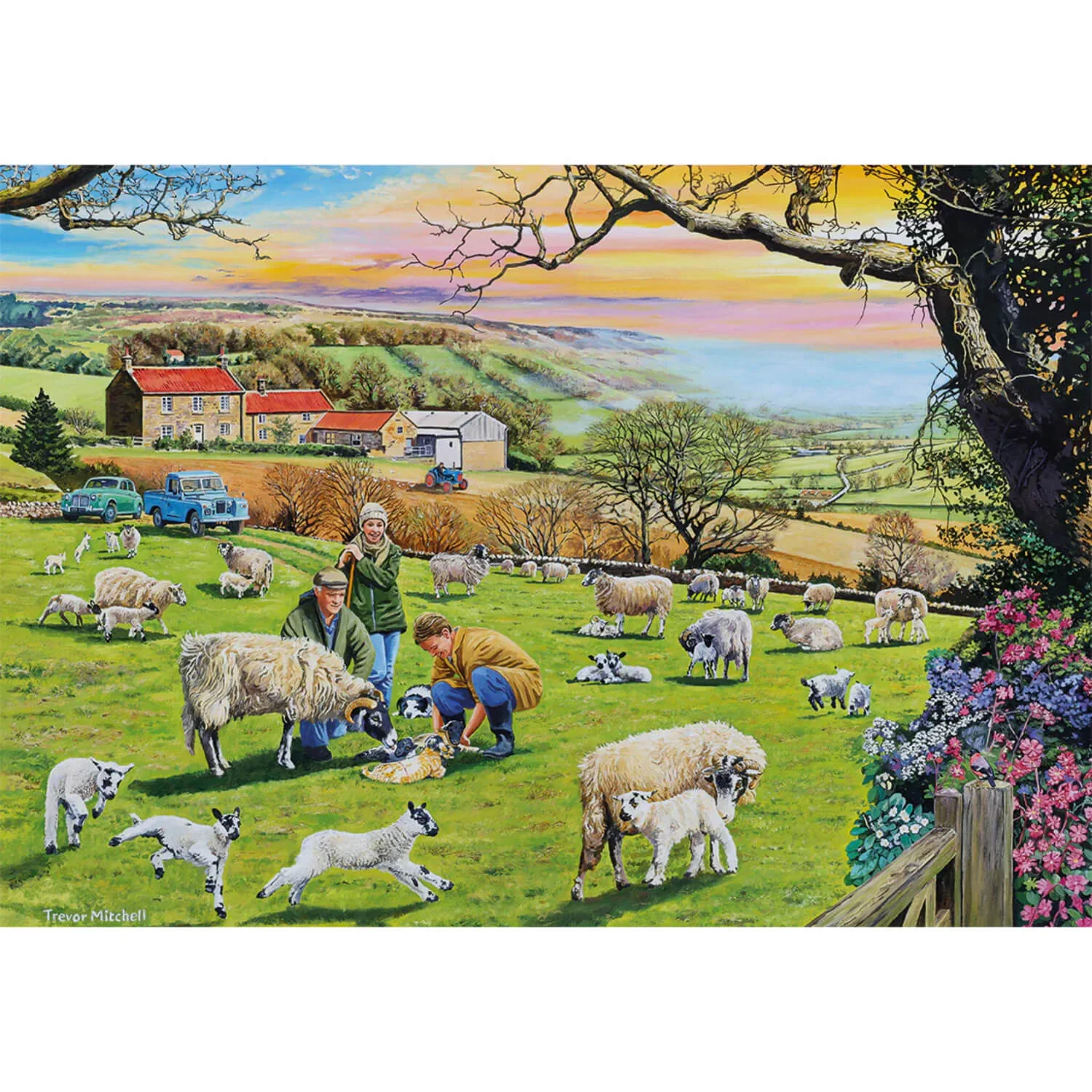 Gibsons 4 x 500 Piece Jigsaw Puzzles - Call The Vet - Image 4