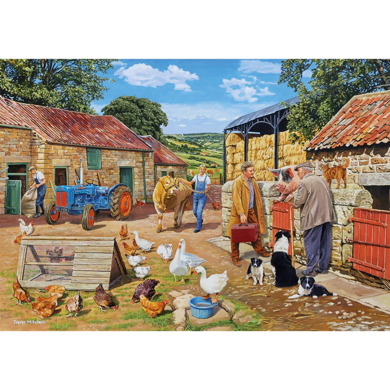 Gibsons 4 x 500 Piece Jigsaw Puzzles - Call The Vet - Image 5