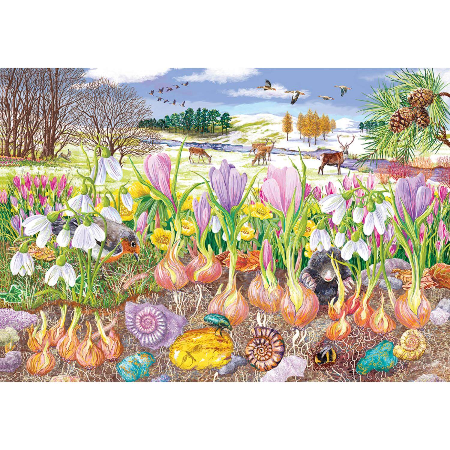 Gibsons 4 x 500 Piece Jigsaw Puzzles - Roots & Shoots - Image 4