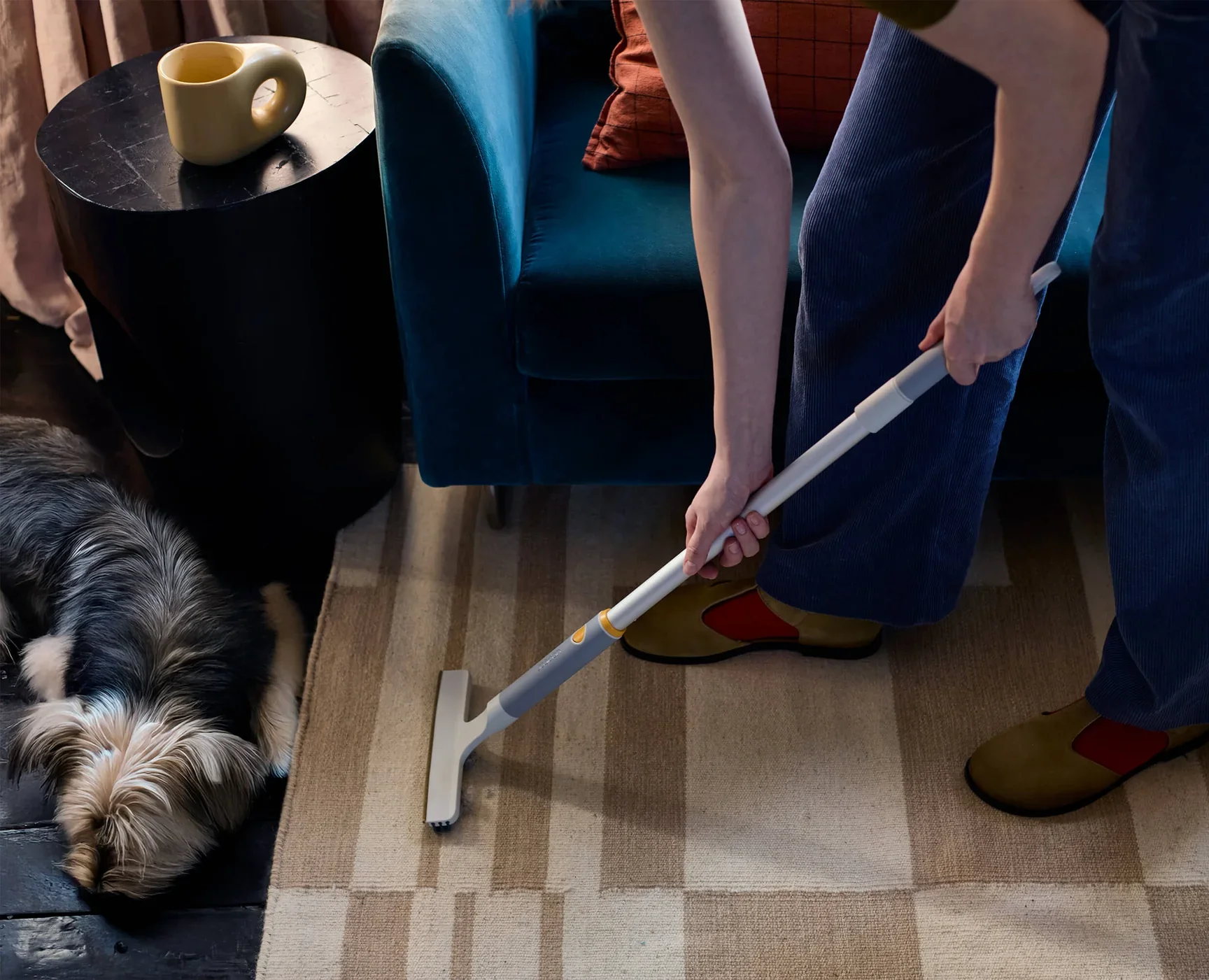 Joseph Joseph CleanTech™ 3-in-1 Pet Hair & Carpet Cleaning Set - Image 5