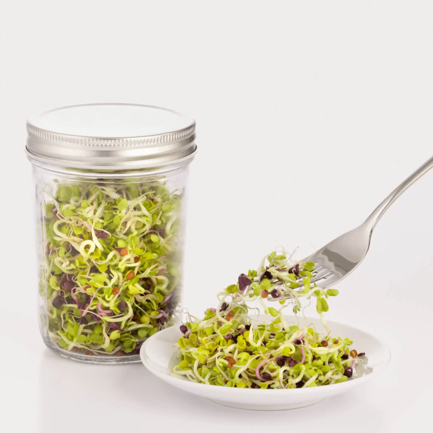 Kilner Glass Sprouting Set - Image 4
