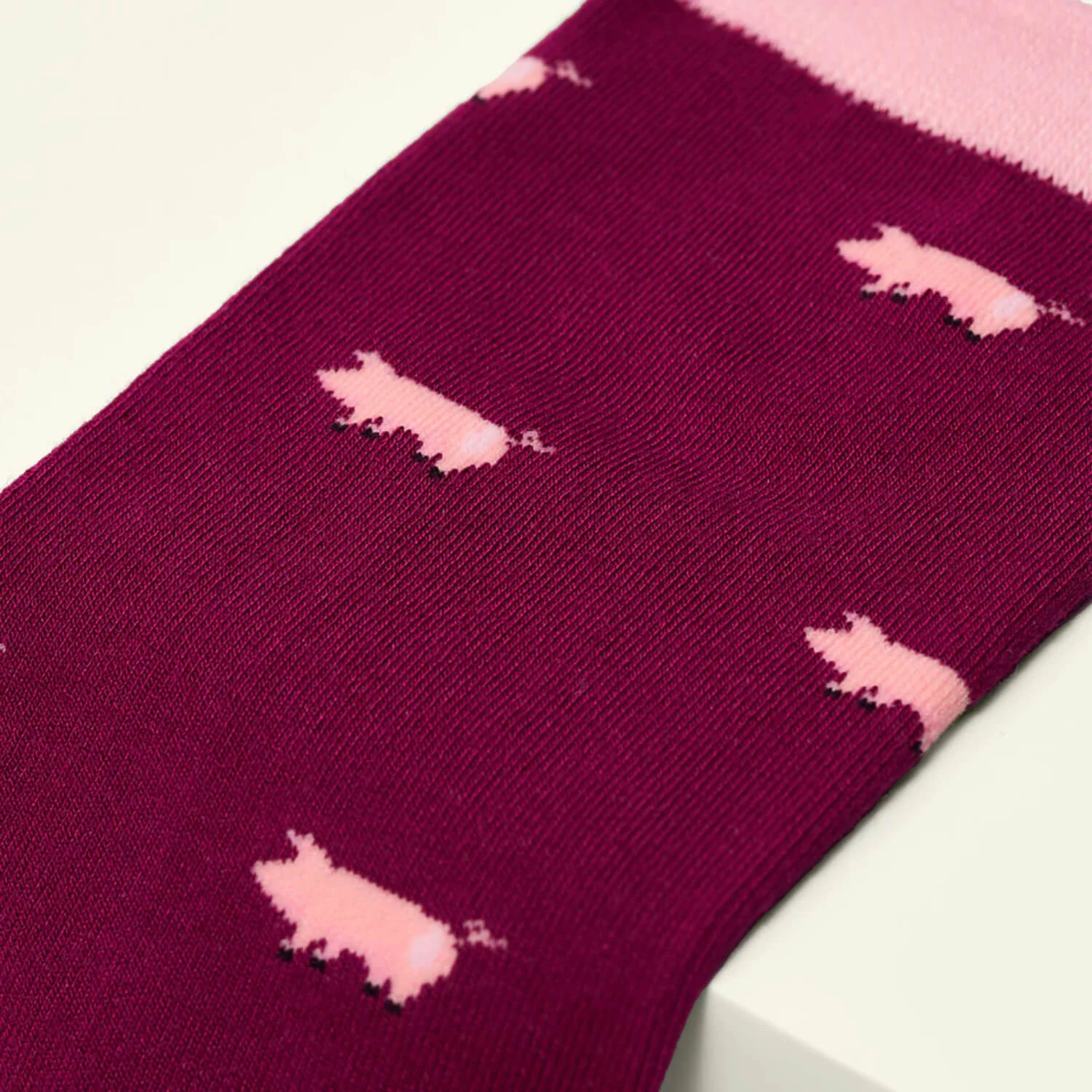 Kosi Bamboo Socks One Size 3-8 -  The Pig - Image 2