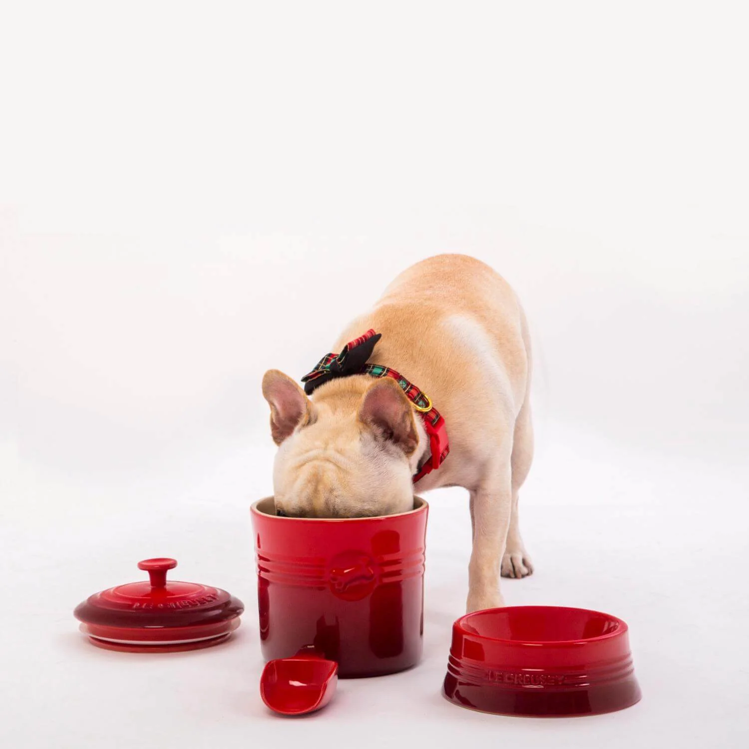 Le Creuset Stoneware 23cm Large Dog Bowl - Cerise - Image 6
