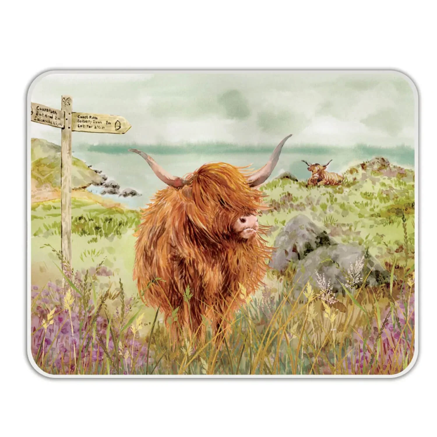 National Trust Large Glass Worktop Protector - Highland Cow
