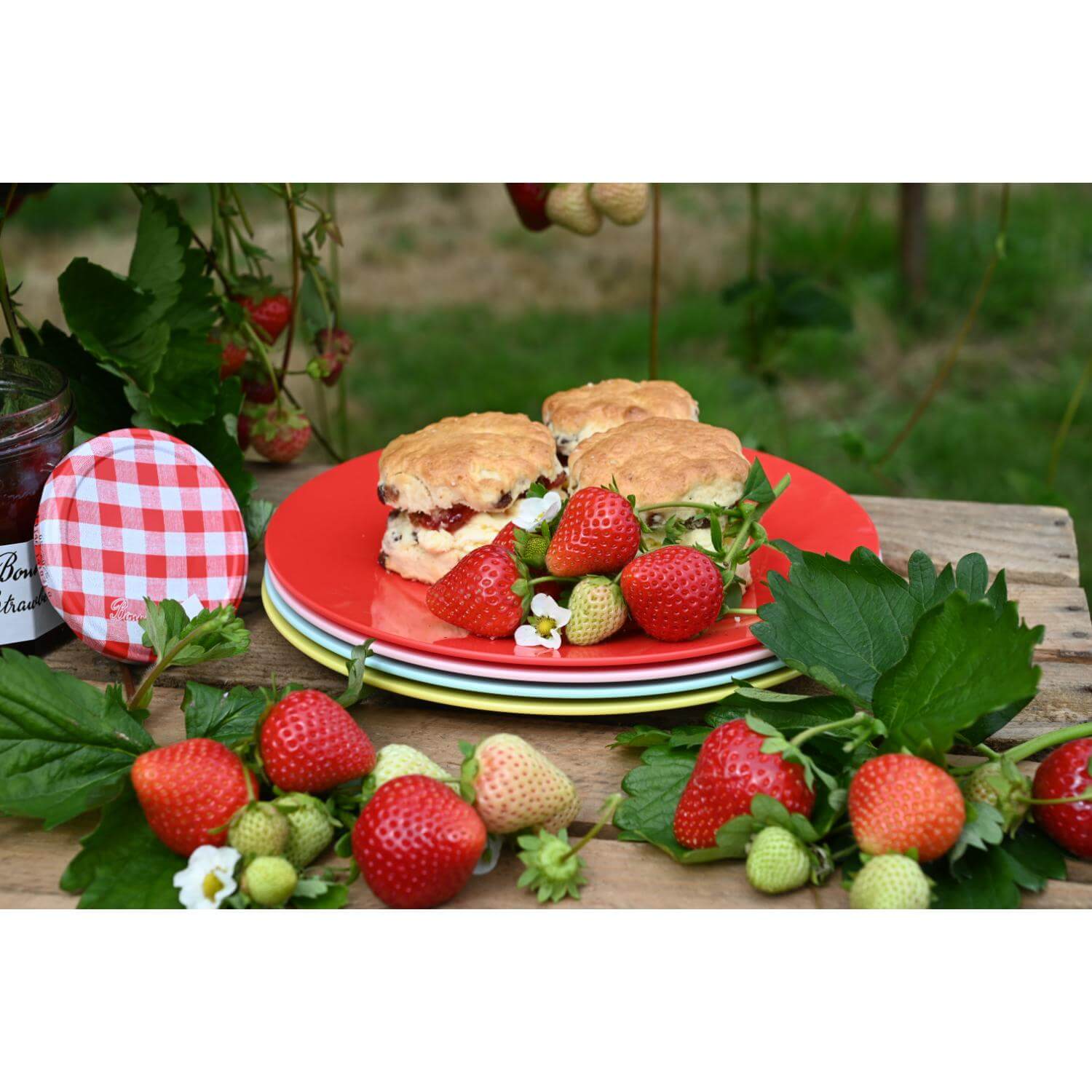 Navigate Strawberries & Cream Set of 4 Reusable Plates in Mixed Colours - Image 3