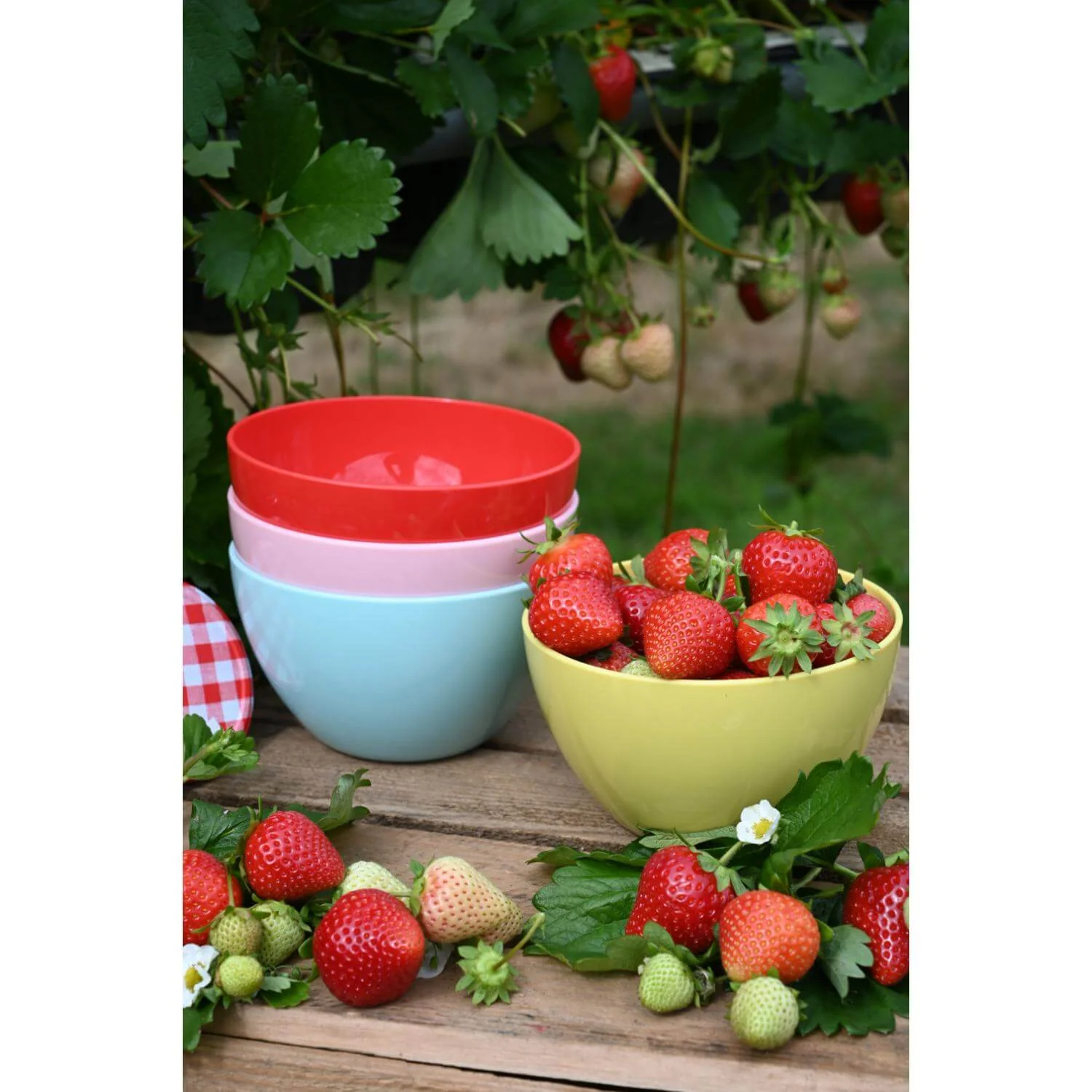 Navigate Strawberries & Cream Set of 4 Stacking Bowls in Mixed Colours - Image 3