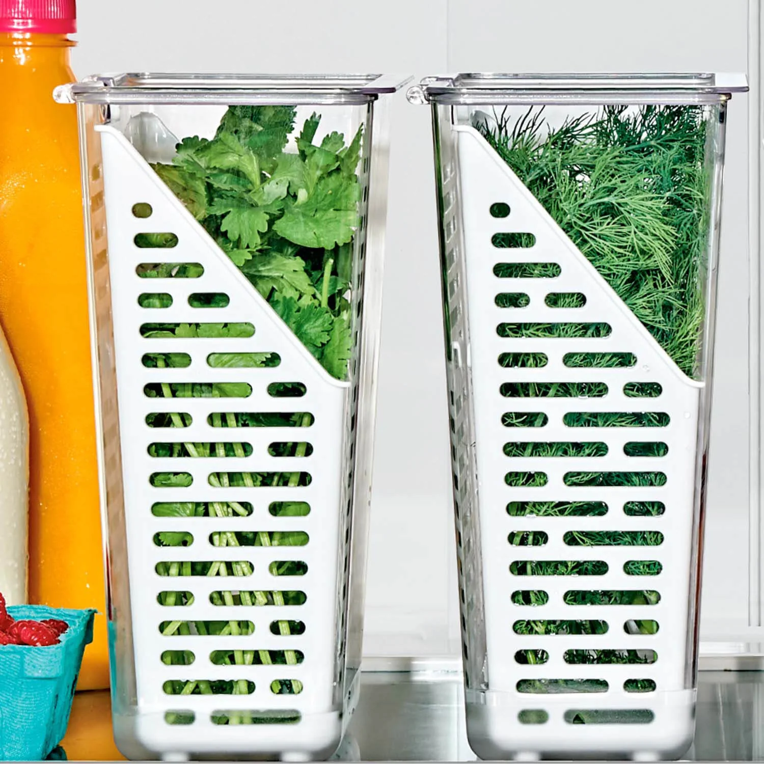 OXO Good Grips Produce Saver - Herb Keeper - Image 9