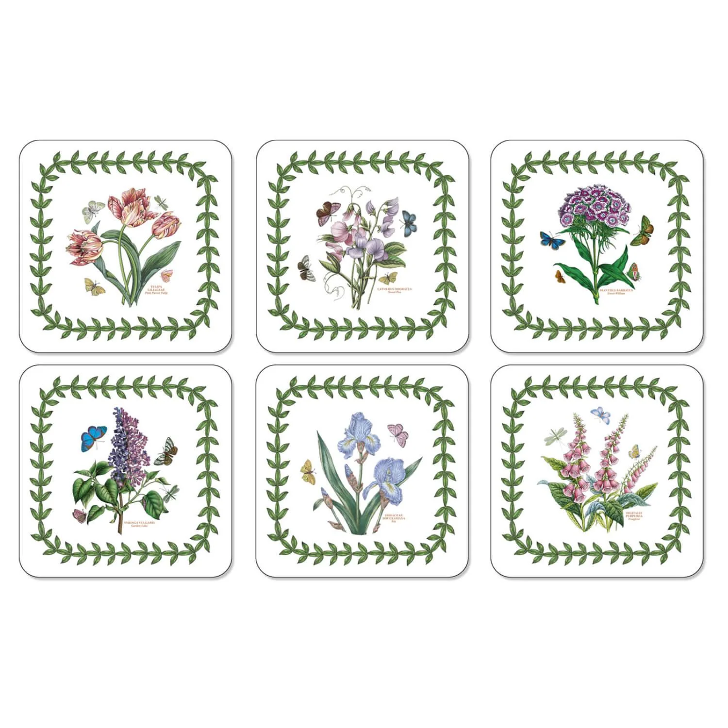 Portmeirion Botanic Garden Coasters - Set of 6