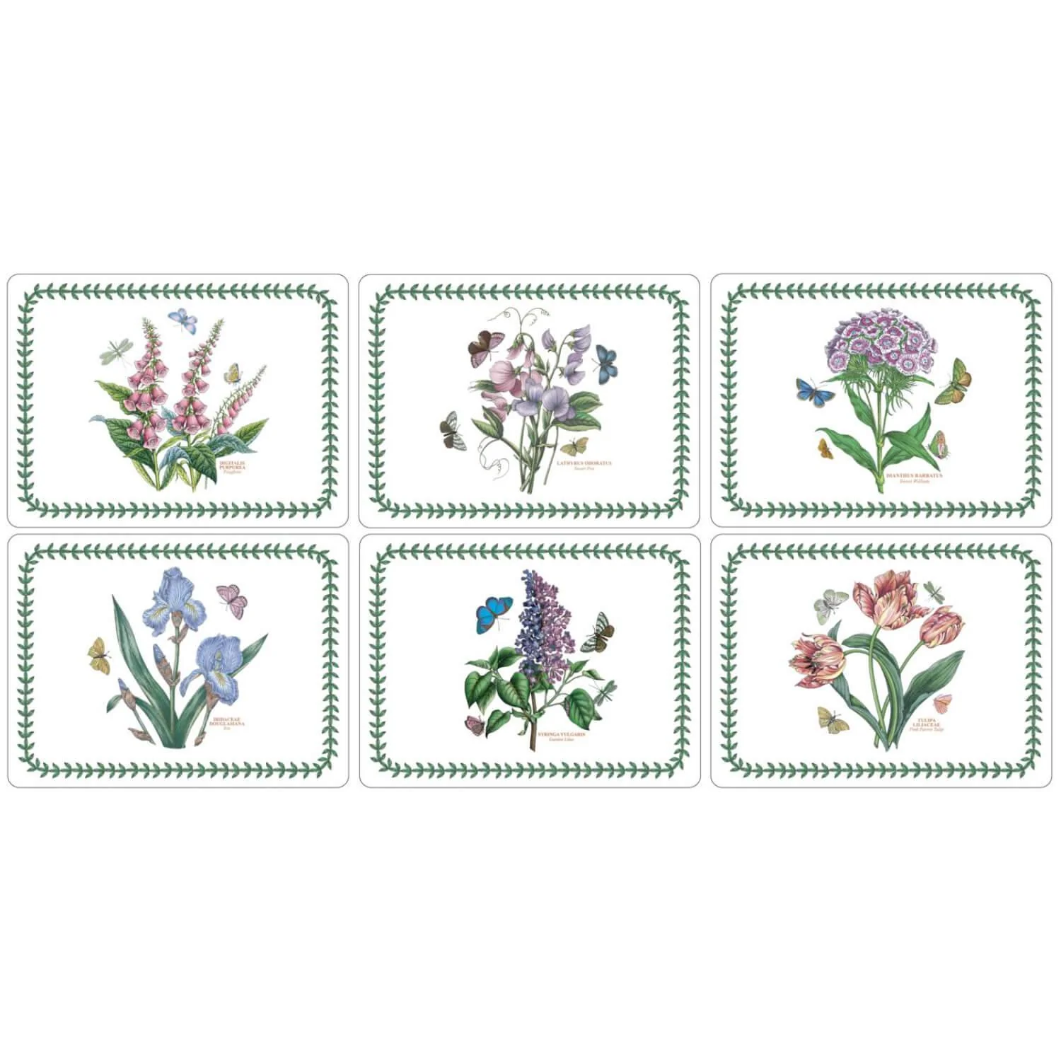 Portmeirion Botanic Garden Placemats - Set of 6