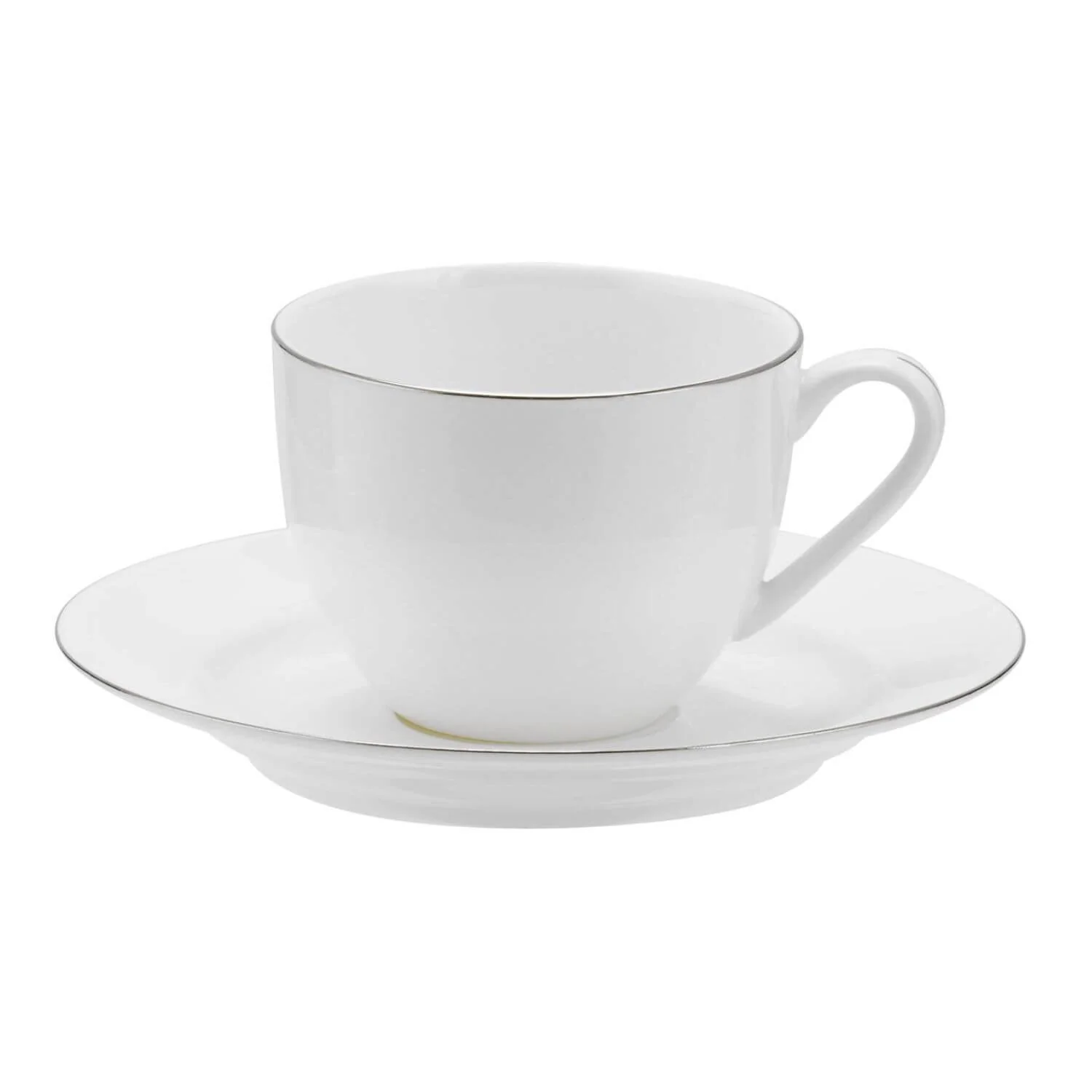 Royal Worcester Serendipity Platinum Teacup & Saucer Set - White