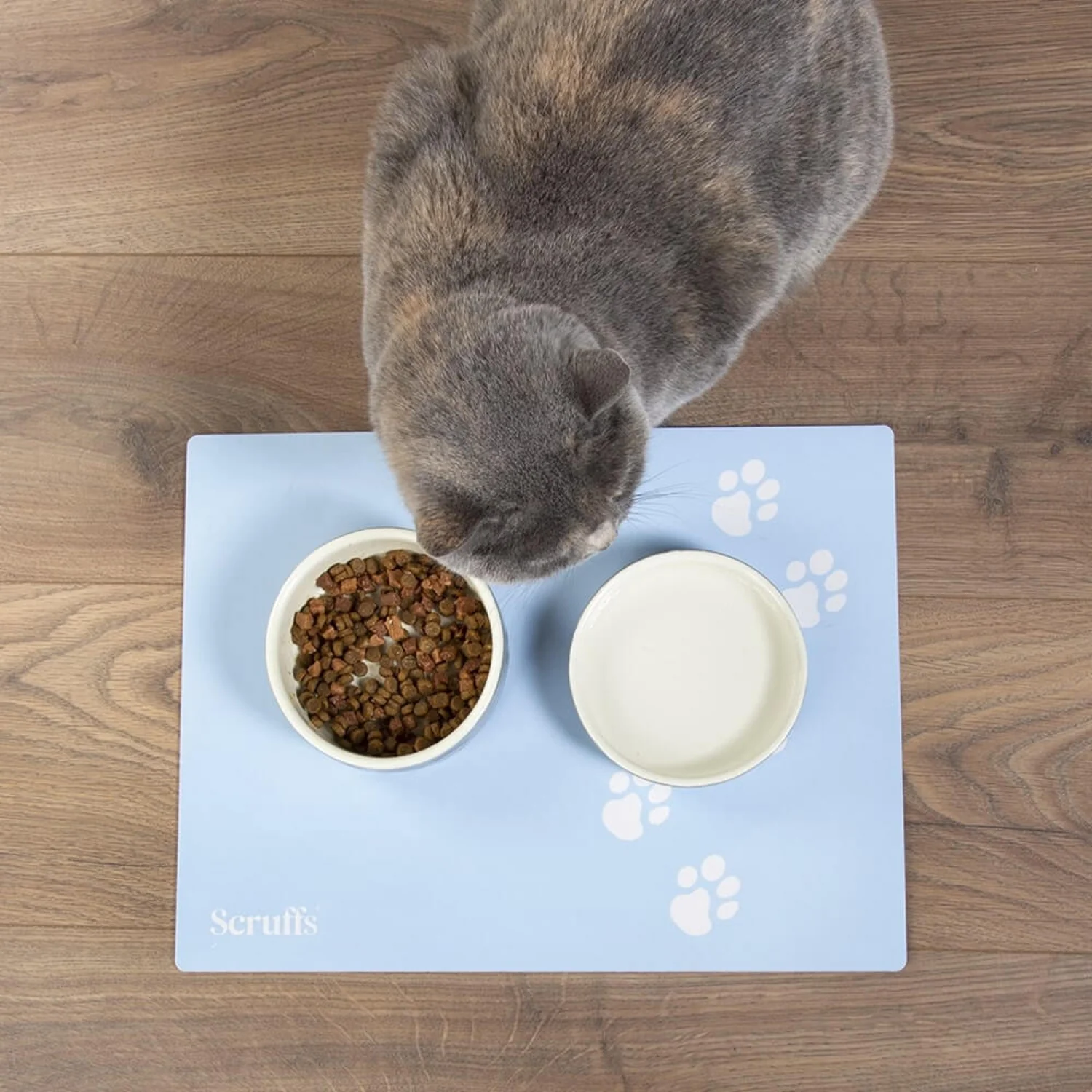 Scruffs® 40cm x 30cm Pet Placemat - Blue - Image 4