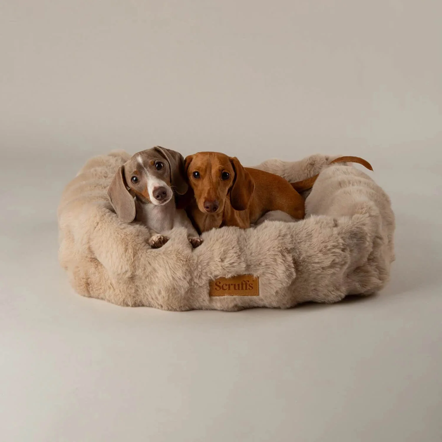 Scruffs Alpine 60cm x 50cm Box Bed - Champagne - Image 5