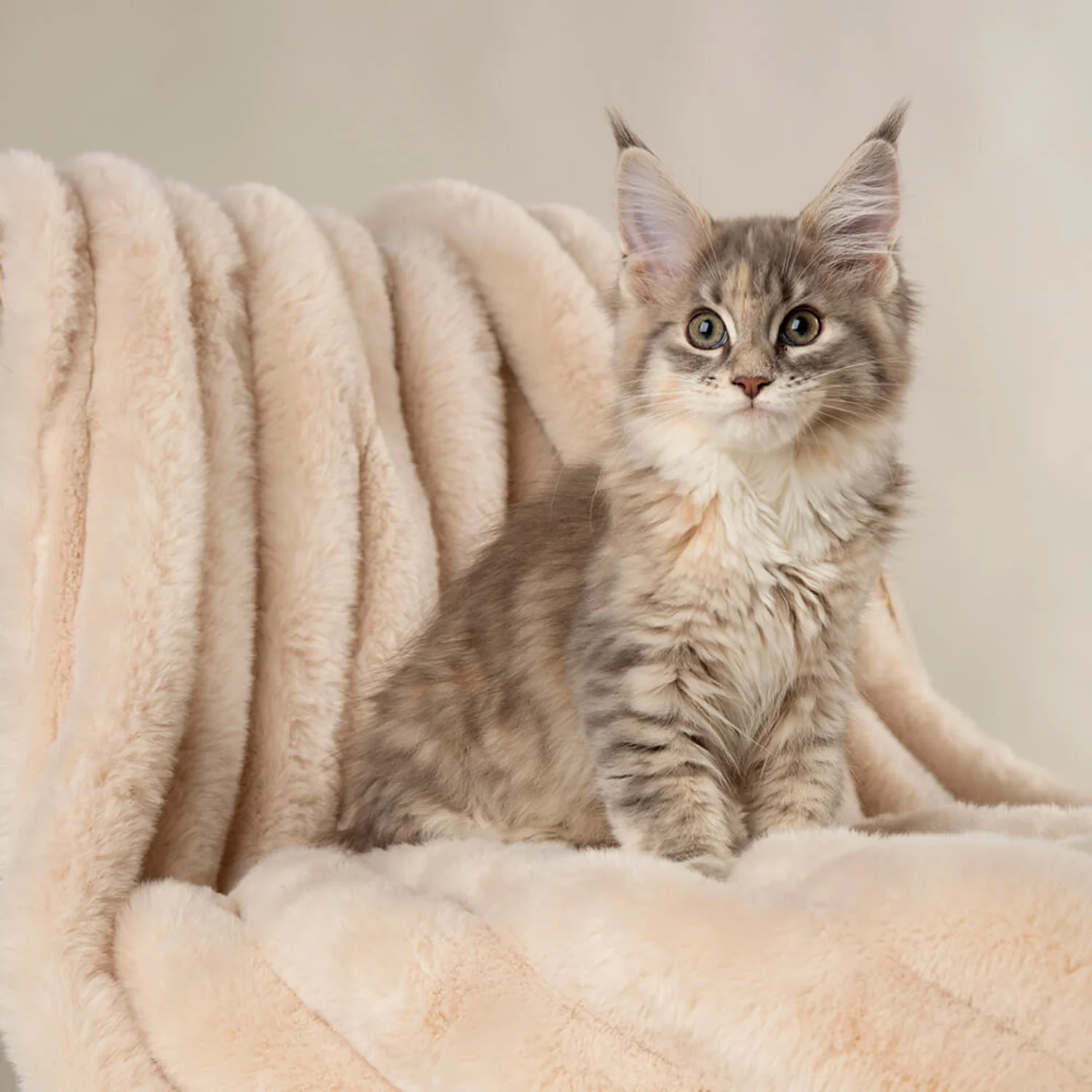 Scruffs® Aspen 100cm x 75cm Pet Blanket - Cream - Image 5