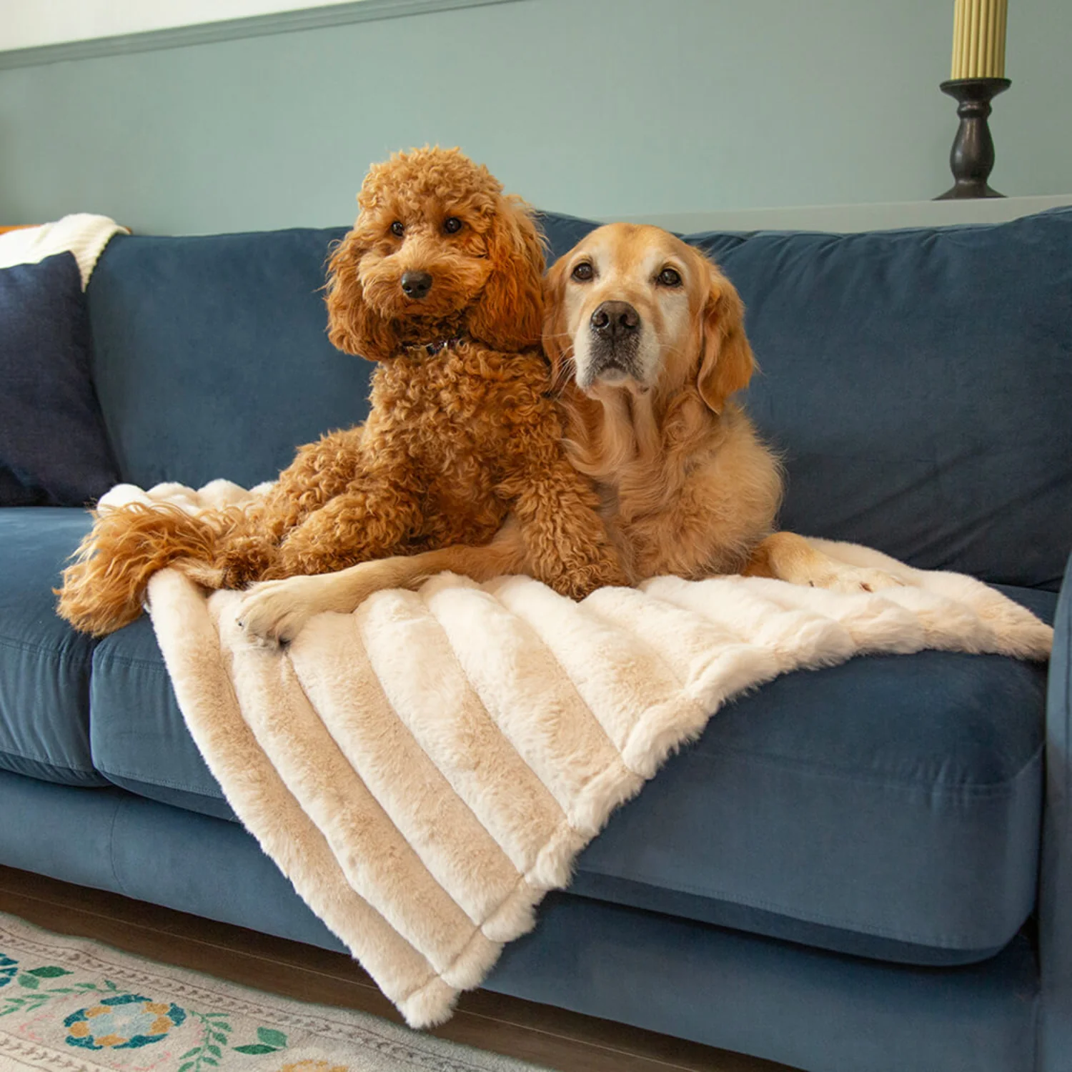 Scruffs® Aspen 100cm x 75cm Pet Blanket - Cream - Image 6