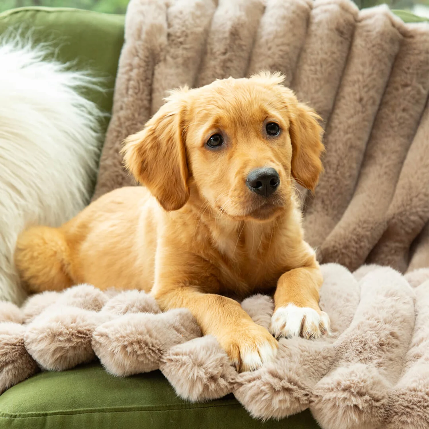 Scruffs® Aspen 100cm x 75cm Pet Blanket - Taupe - Image 4