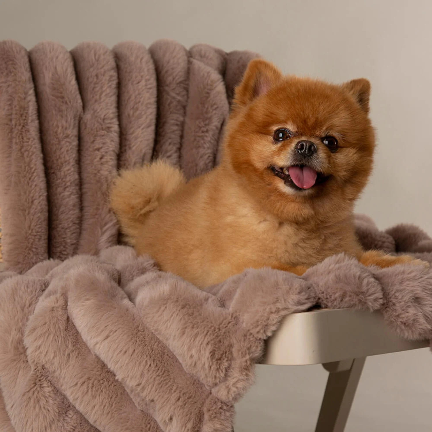 Scruffs® Aspen 100cm x 75cm Pet Blanket - Taupe - Image 5