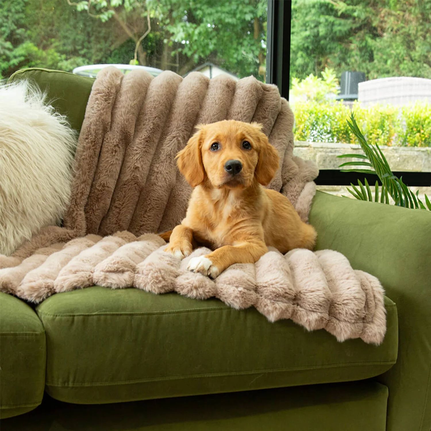 Scruffs® Aspen 100cm x 75cm Pet Blanket - Taupe - Image 6