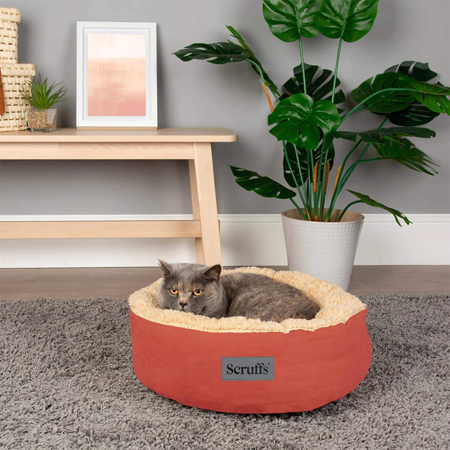Scruffs Cosy 45cm Ring Pet Bed - Assorted - Image 13