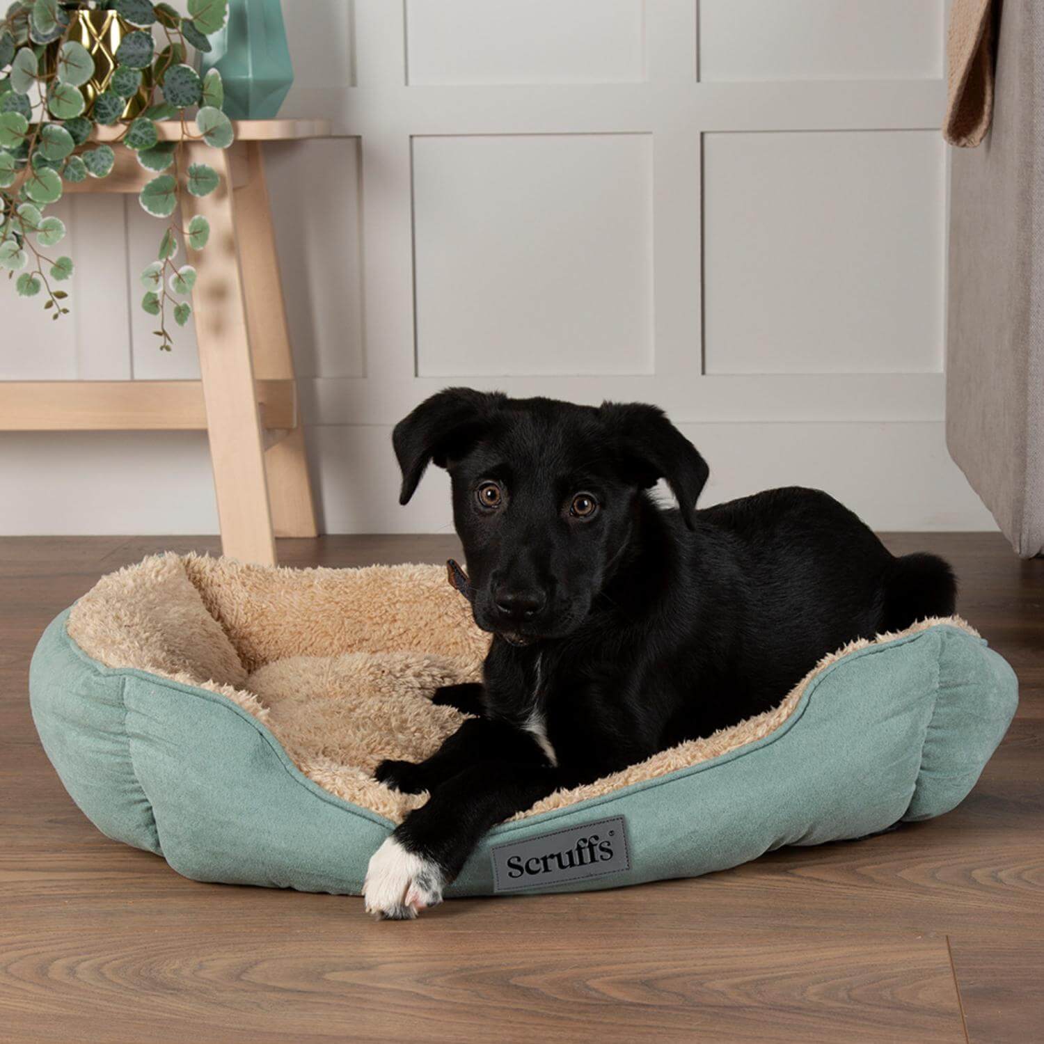 Scruffs Cosy 60cm x 50cm Box Bed - Assorted - Image 10