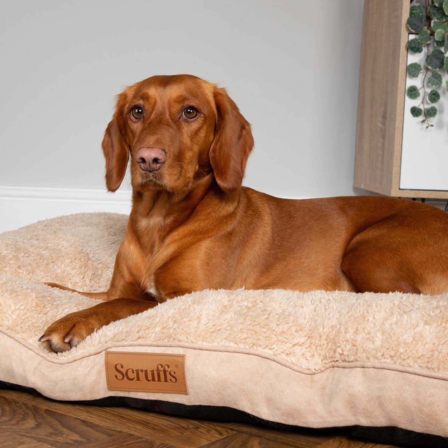 Scruffs Cosy 82cm x 58cm Mattress - Assorted - Image 12