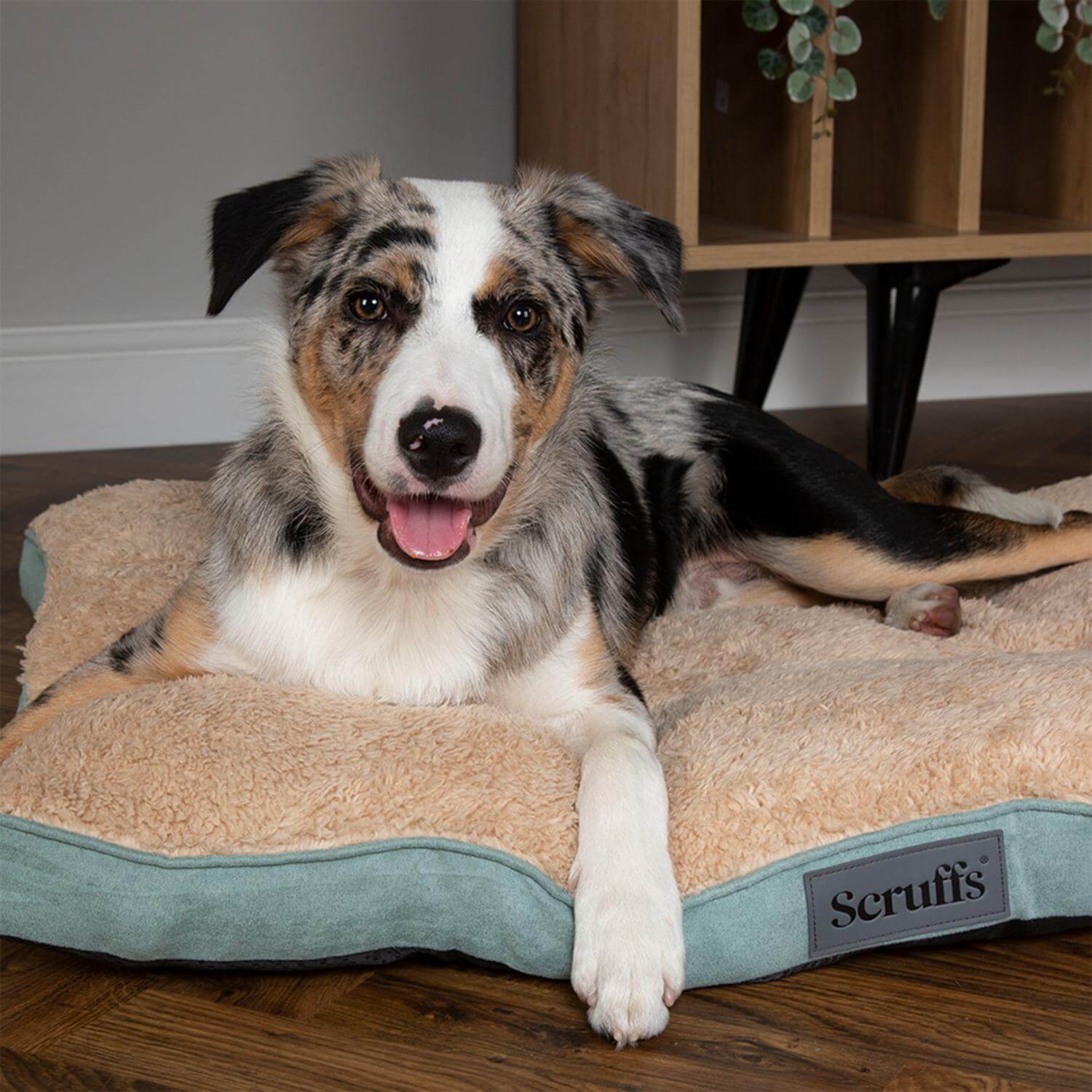 Scruffs Cosy 82cm x 58cm Mattress - Assorted - Image 9
