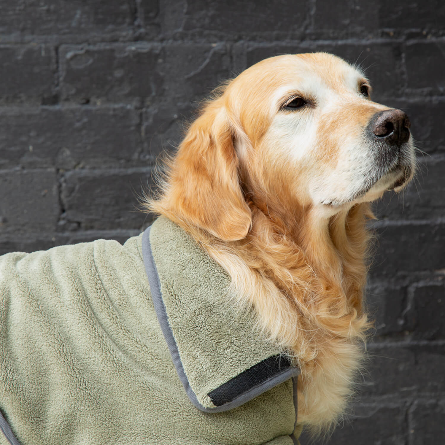 Scruffs Expedition Deluxe Noodle & Microfibre Dog Drying Coat - Large - Khaki Green - Image 6