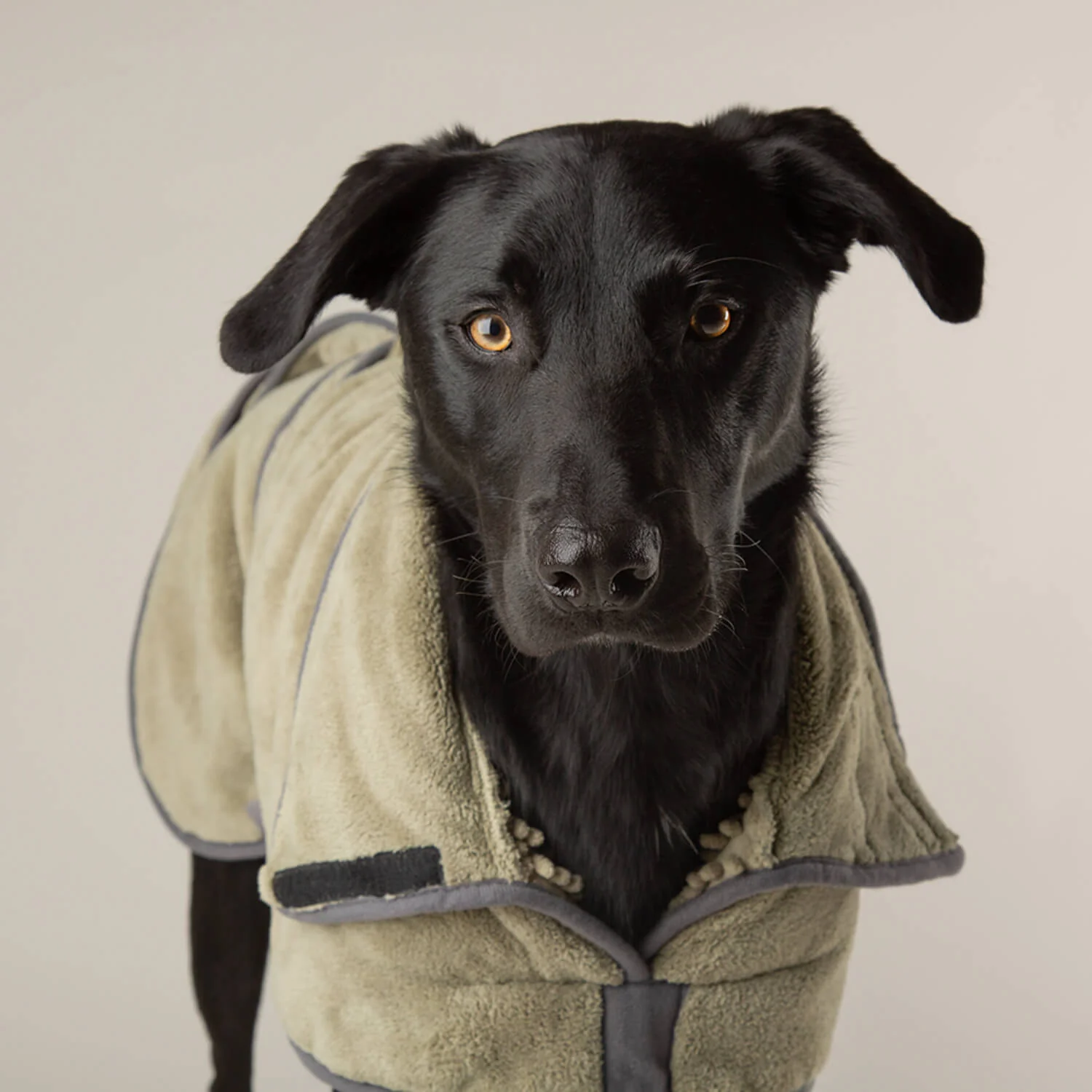 Scruffs Expedition Deluxe Noodle & Microfibre Dog Drying Coat - Large - Khaki Green - Image 8