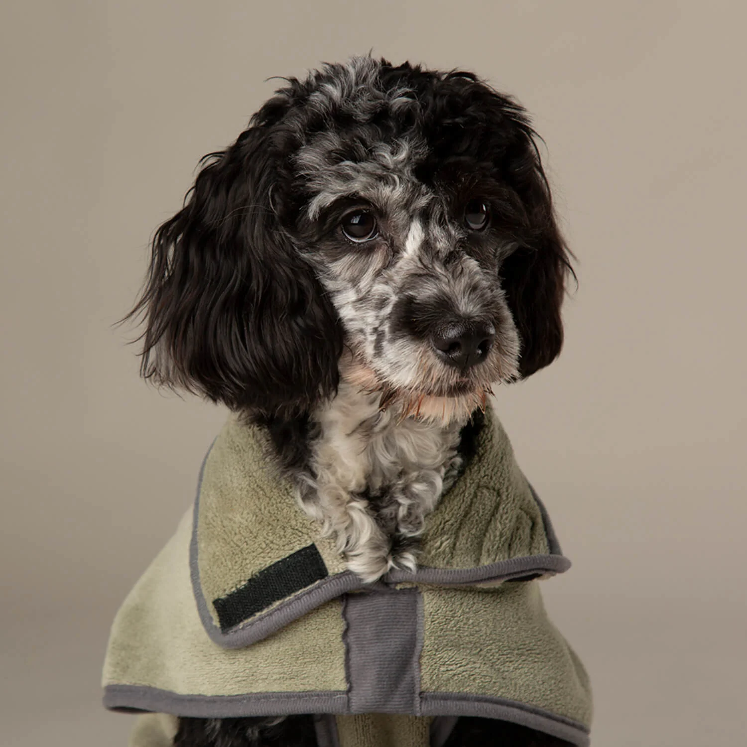 Scruffs Expedition Deluxe Noodle & Microfibre Dog Drying Coat - Medium - Khaki Green - Image 6