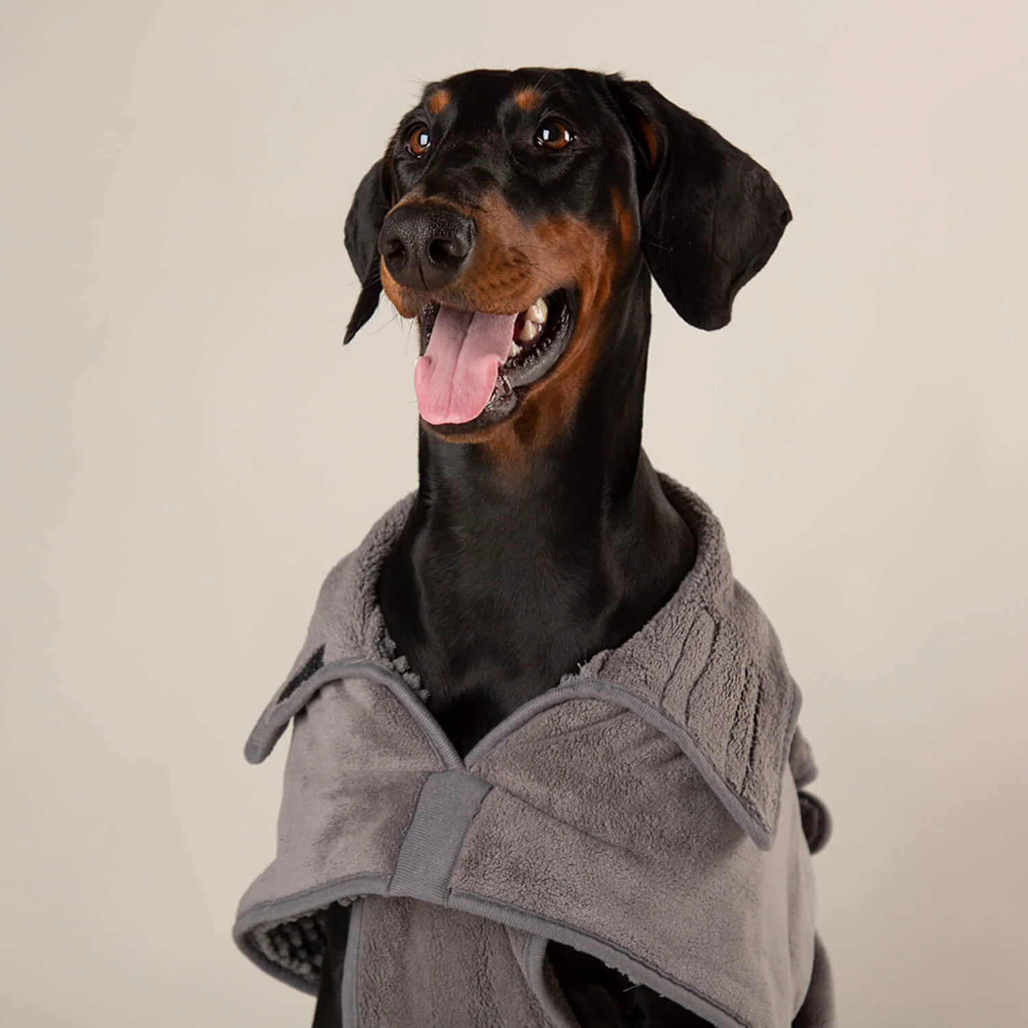 Scruffs Expedition Deluxe Noodle & Microfribe Dog Drying Coat - X-Large - Storm Grey - Image 6