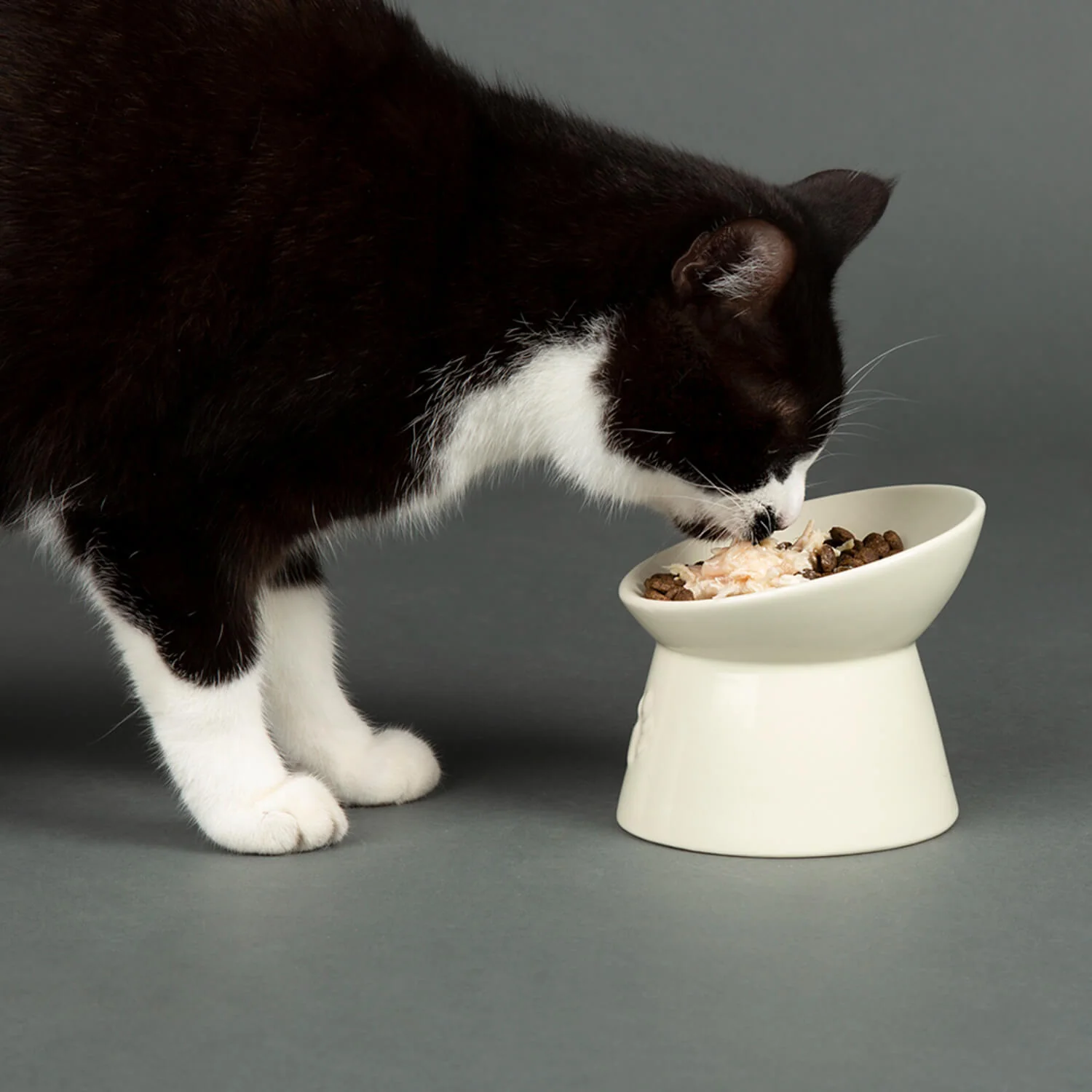 Scruffs Icon 12cm Stoneware Raised Cat Food Bowl - Cream - Image 2