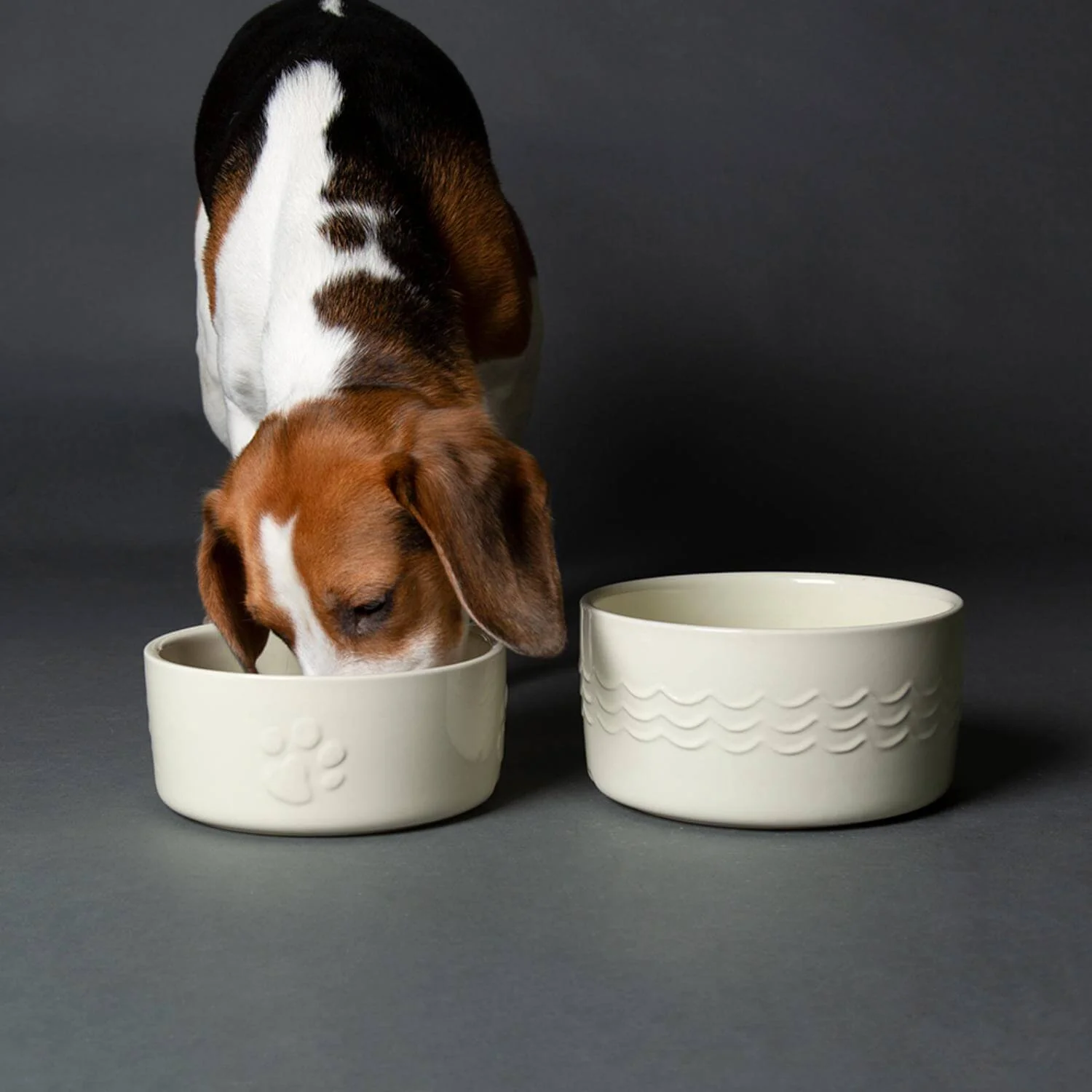 Scruffs Icon 19cm Stoneware Pet Food Bowl - Cream - Image 4