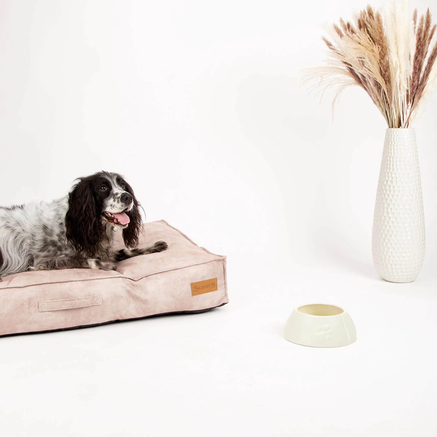 Scruffs Icon 21cm Stoneware Long Eared Dog Food Bowl - Cream - Image 3