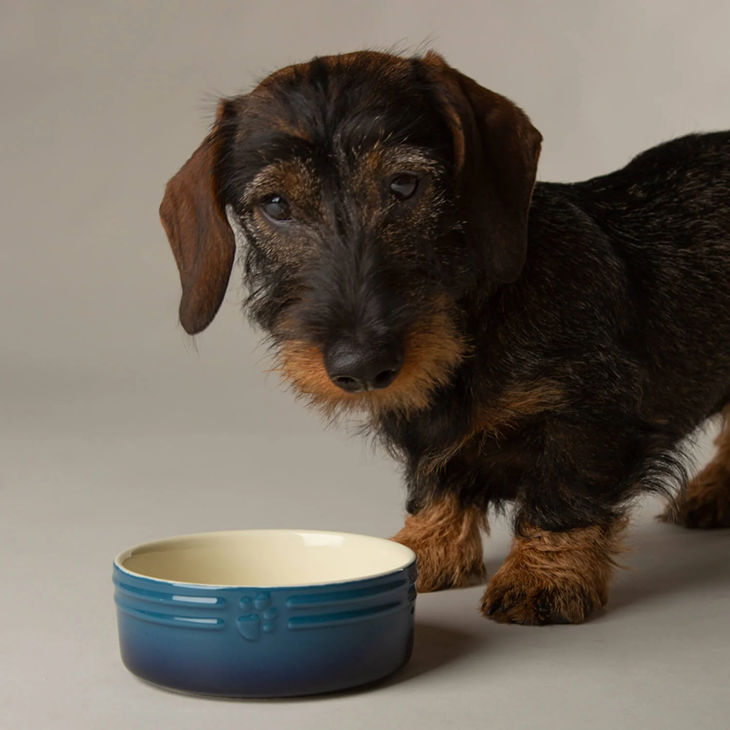 Scruffs Ombré 13cm Stoneware Pet  Bowl - Blue - Image 3