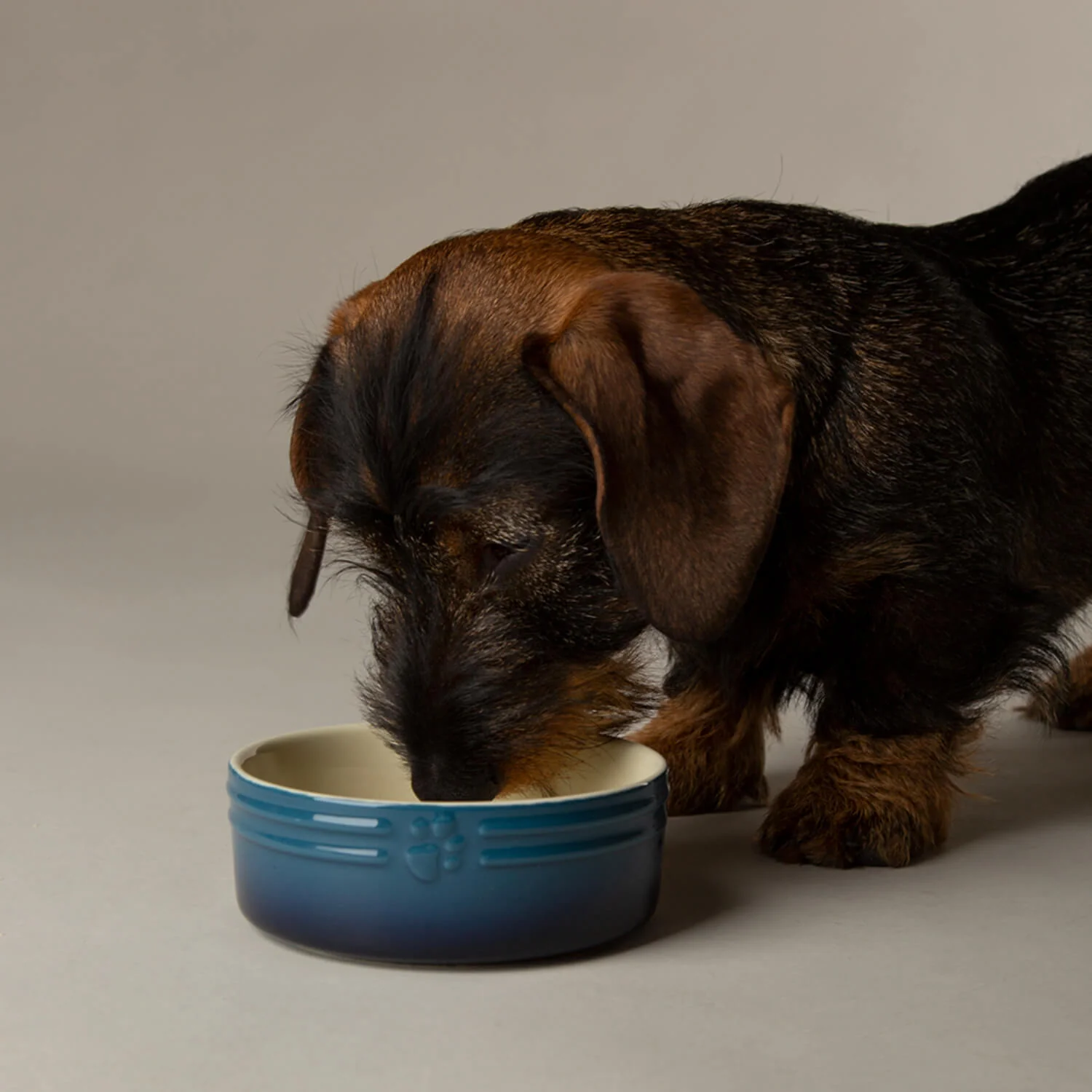 Scruffs Ombré 13cm Stoneware Pet  Bowl - Blue - Image 4